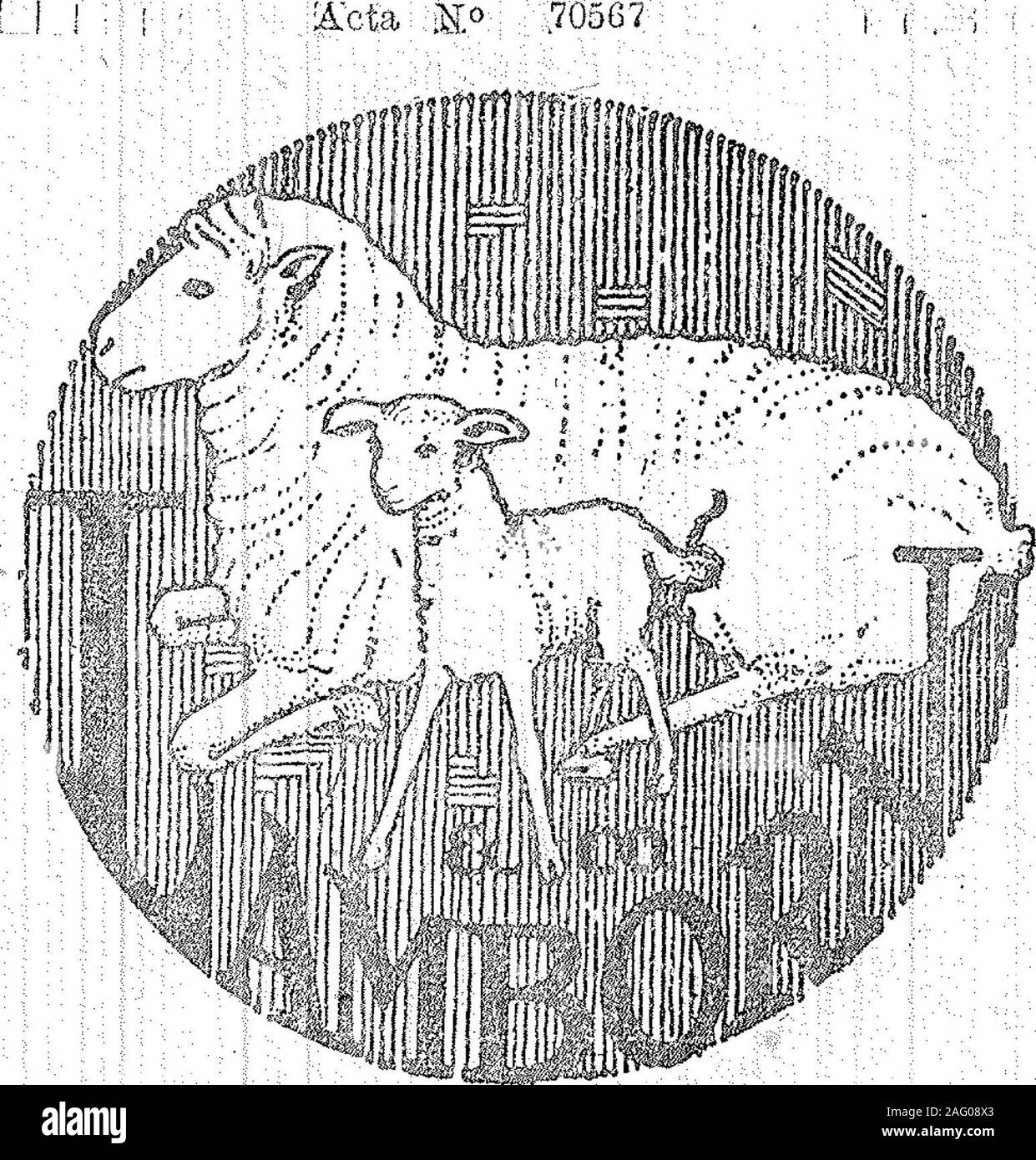 . Boletín Oficial de la República Argentina. 1919 1ra sección. -Mitinm^. Octubre 17 d lj)2r. - Lamii orn y Compfíiíía. - Para la ONU, cadníiia distinguirfen n pintumíi cibulloiíi, eeiajeiíd oü, nr, iiei ilíetía íajes,artículos de menaje de,bazar y hojalatería, cables eléctricos, loncría, mar-cos y varil!a>, ce-1 níi de la clase 10, 2í° 1 .70566 lOctubre 17 de 101.i. -- Lamb orn y Compañía. - Pará distinguirmeitaíes usados en las industrias, tra bajados o un medio trabajar, sin com-prendidos en other cía-es, Productos ¿fundición, herrería y calderería, dela clase 4.- U .s , X 8ͰS E-27 octub Foto de stock