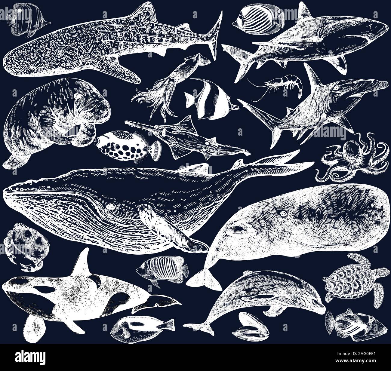 Gran conjunto de estilo boceto dibujados a mano los animales del mar y las criaturas aislado sobre fondo oscuro. Ilustración vectorial. Ilustración del Vector