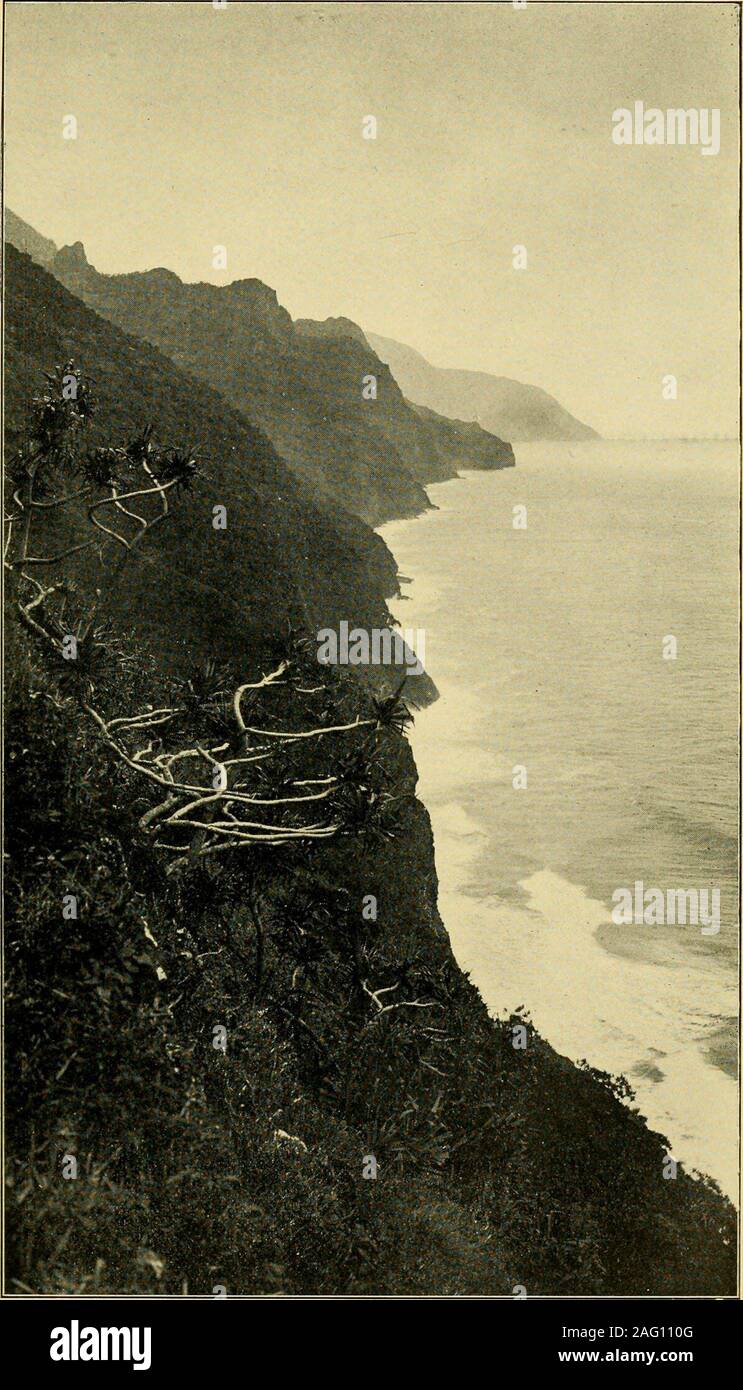 Pele Y Hiiaka Un Mito Desde Hawai G Cuerpos Celestiales Las Nociones Thatprevail Como Su Significado Exacto En Este Lugar Son Vagos C Kupukupu Un Deity Benevolo Que Curo