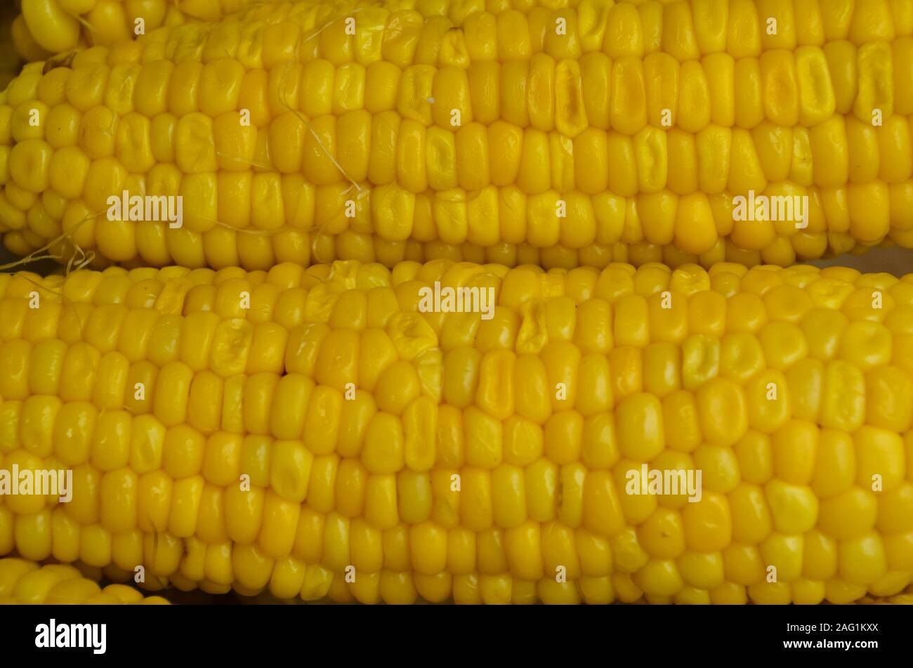 Textura de fondo amarillo maíz hervido Foto de stock