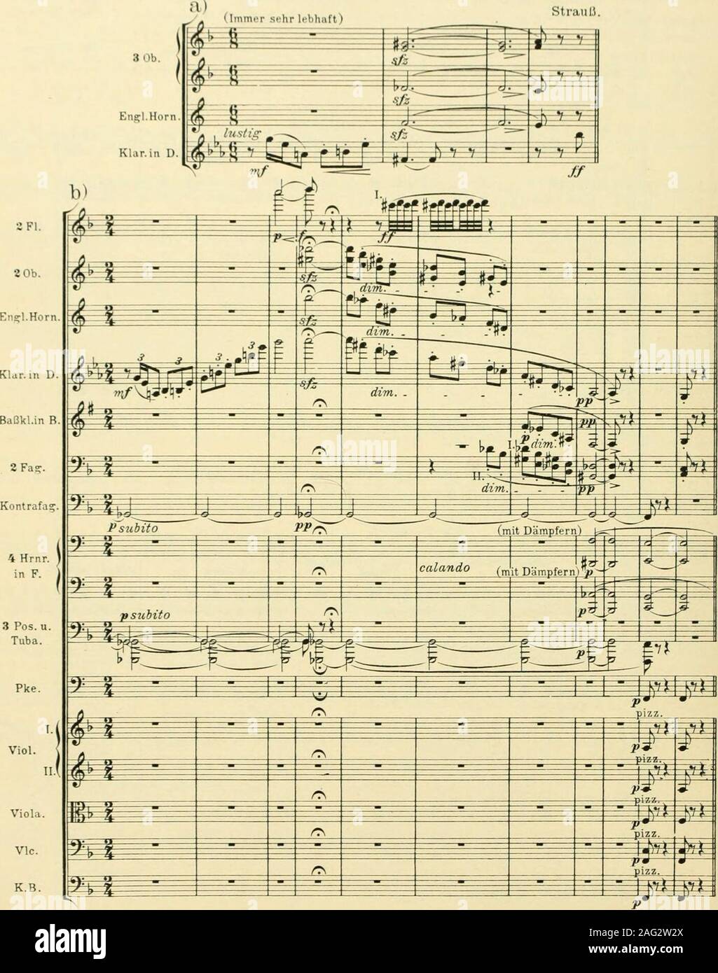 . Instrumentationslehre, von Hector Berlioz. Ergänzt und rev. von Richard Strauss. Z-:o morir en D Khirinetto ist wenig, verbreitet solltees aber mehr sein; ihr Klang ist rein und besitzteine beträchtliche Schärfe, también wäre bei mancherGolef;enheit zu verwerten ausgezeichnet.I Wird auch heute leider noch última stets diiivhdie/ Es-Klarinette ersetzt, trotzdem RSI en Liszts inzwischen Mazeppa und Wagners Walkürenritt einewichtige Rolle anvertraut worden ist. Ich selbsthabe als Sie den Humoristen en meinem hasta UE-len spie verwendet gel. Sie ist hier von einerderb-drolligen Komik: N9 8:^ u.b.Fill Foto de stock