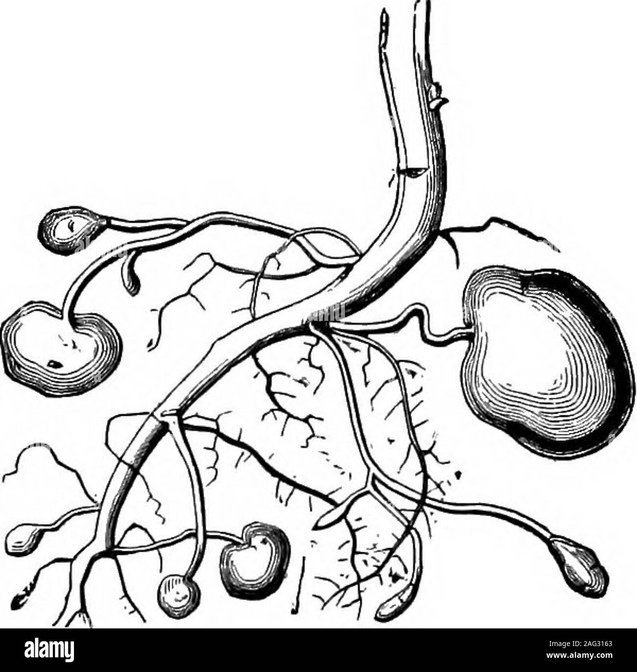 My Image 20