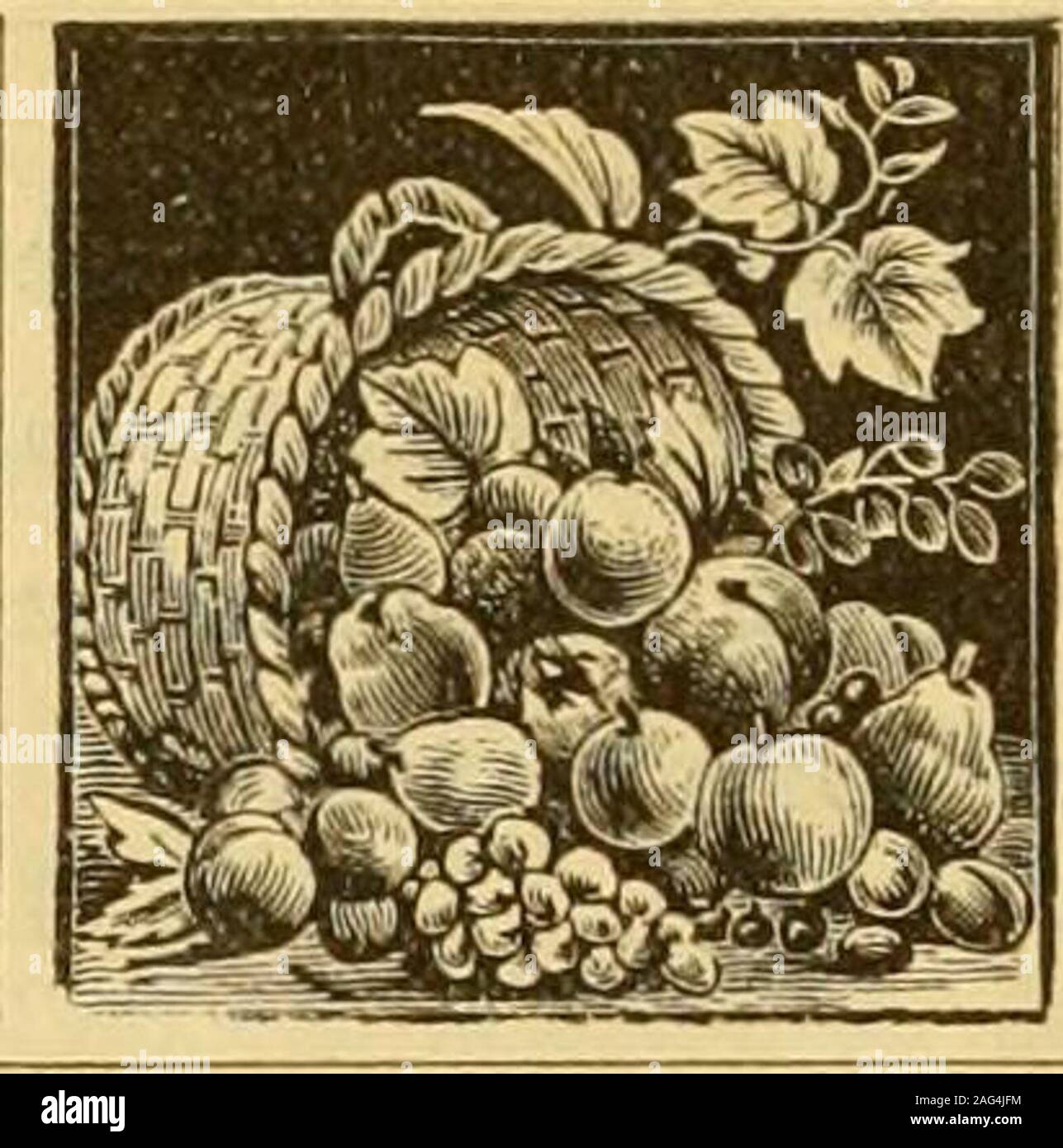 Sti Ss Imagenes De Stock Sti Ss Fotos De Stock Alamy