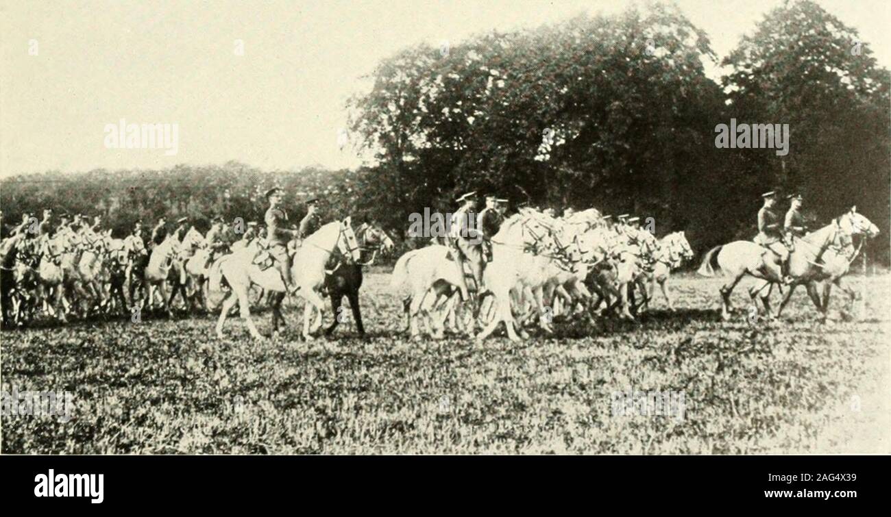 La Gran Guerra Territorials Britanico El London Scottish En Practi Carga De Bayoneta Caballeria Britanica Los