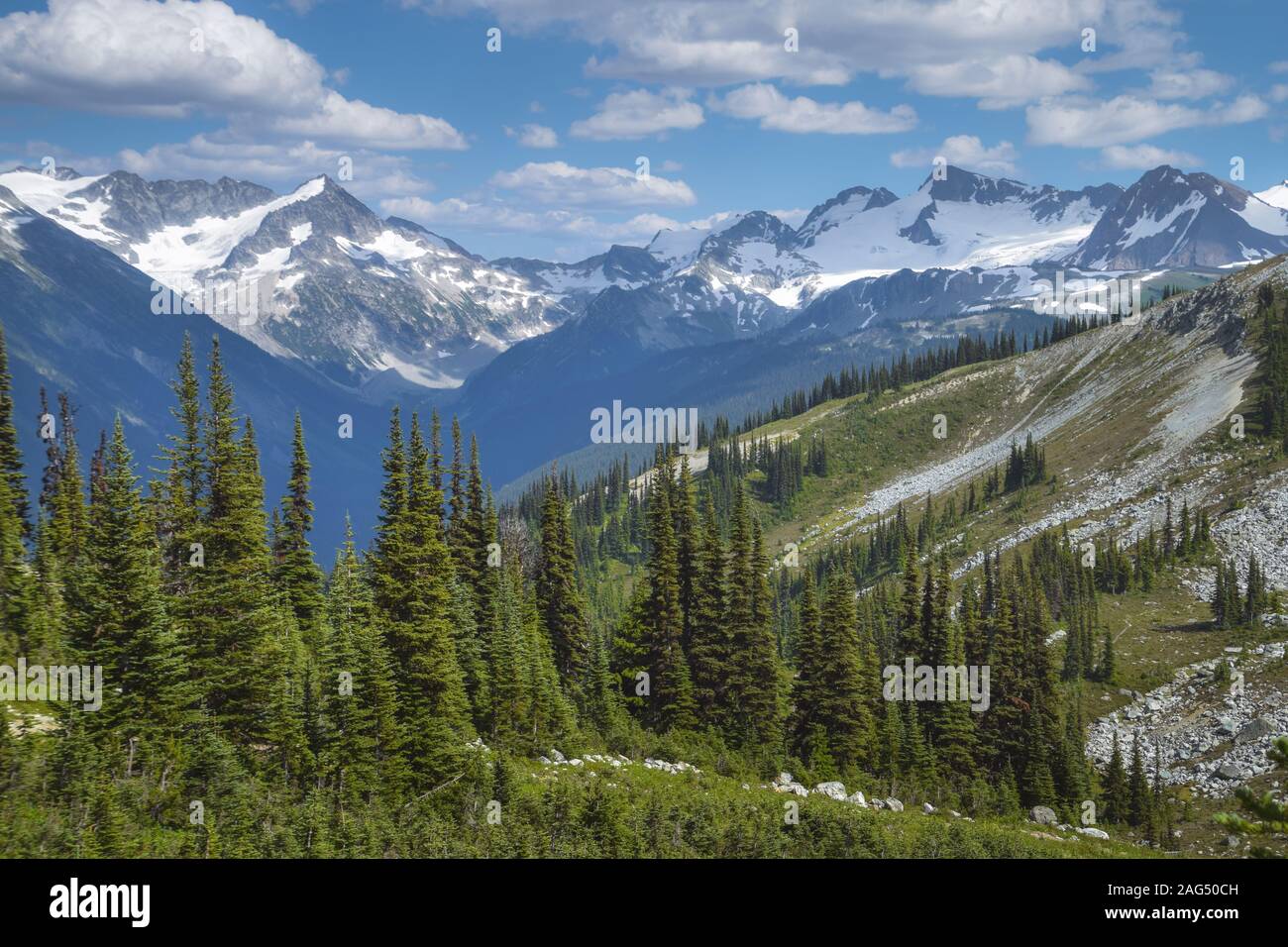 Paisaje alpino con pinos en colinas y montañas nevadas en segundo plano. Foto de stock