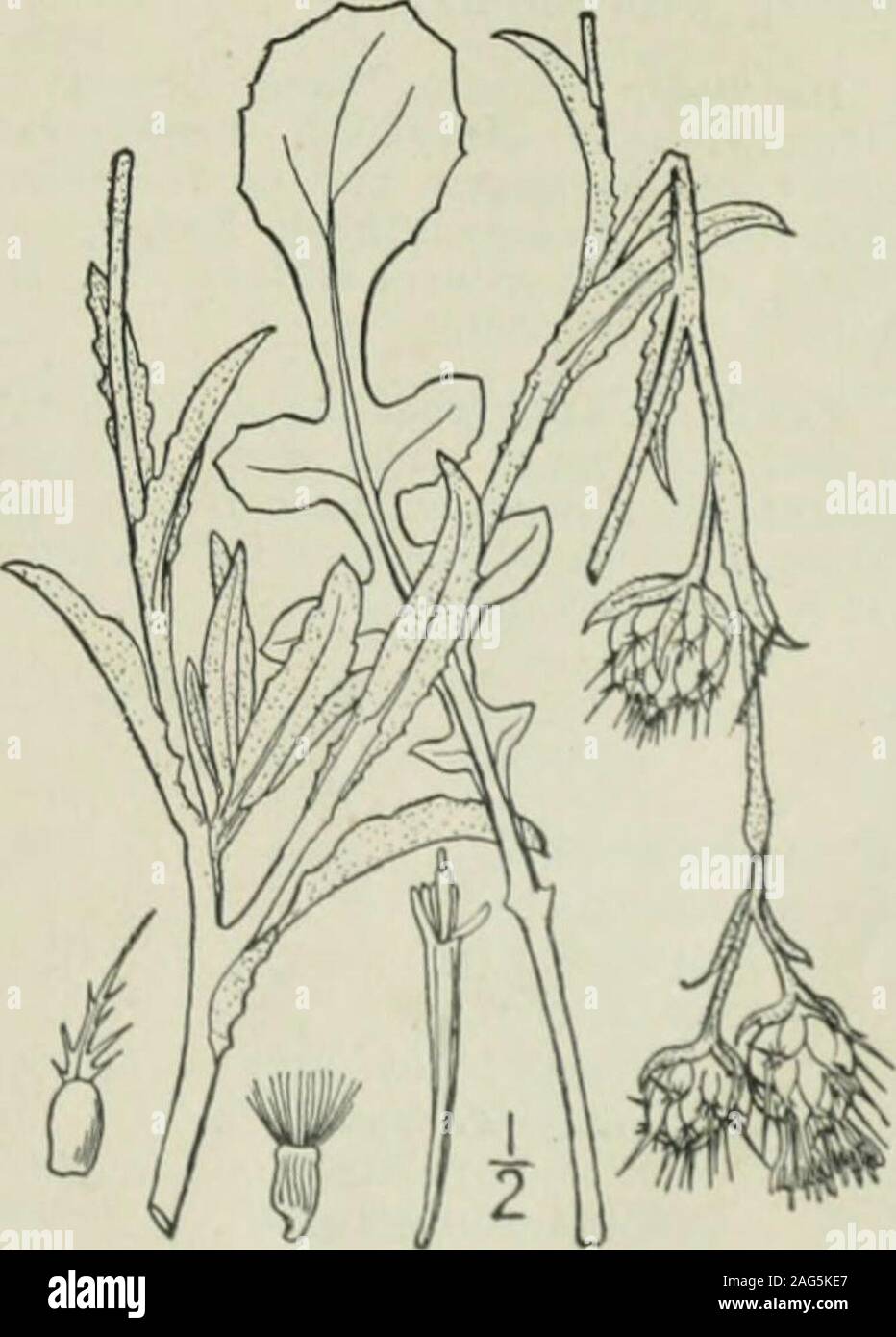 New Jersey Boundary Fotos E Imagenes De Stock Alamy