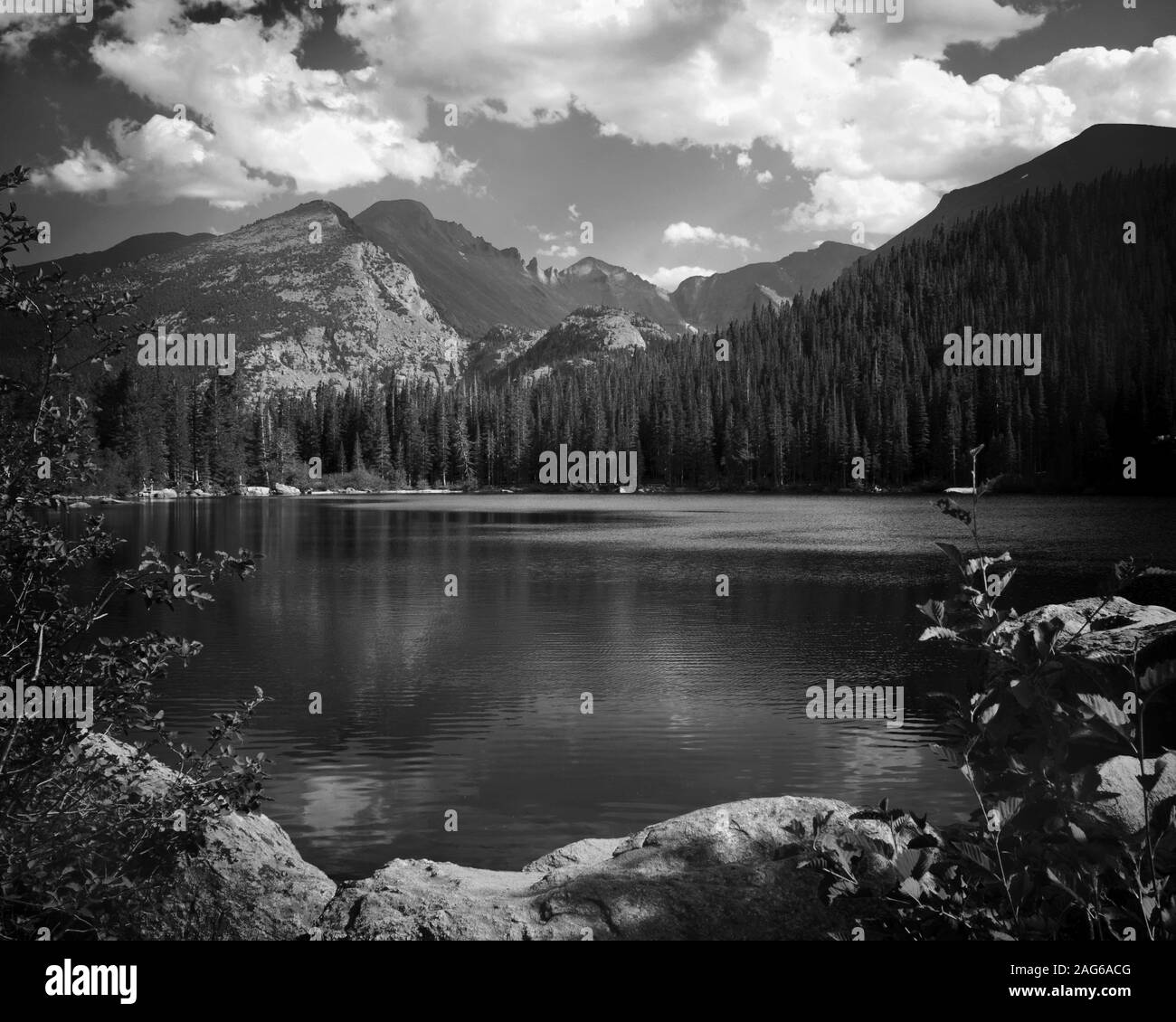 Captura en escala de grises de un hermoso paisaje con un lago rodeado árboles y altas montañas rocosas Foto de stock