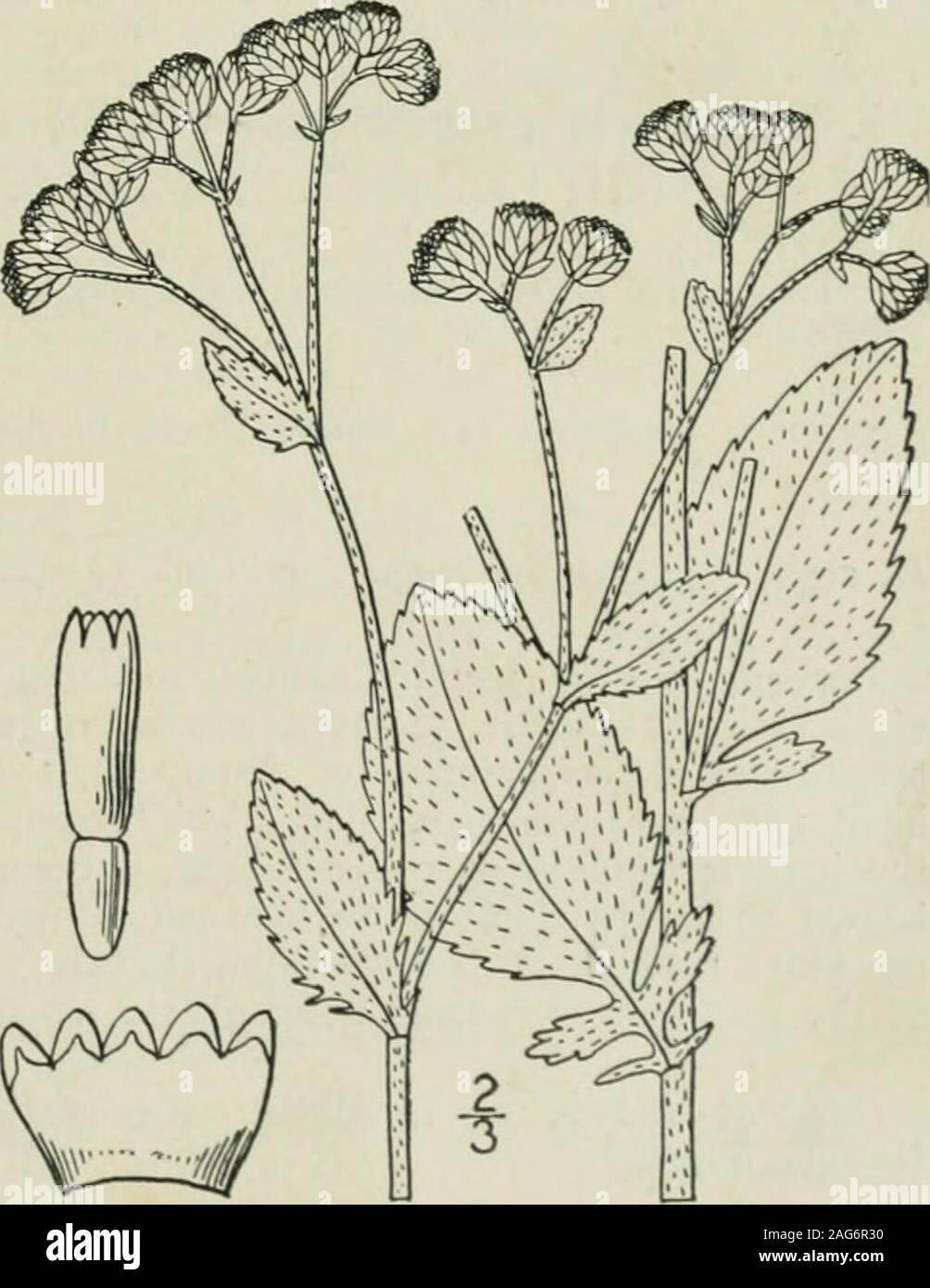 New Jersey Boundary Fotos E Imagenes De Stock Alamy