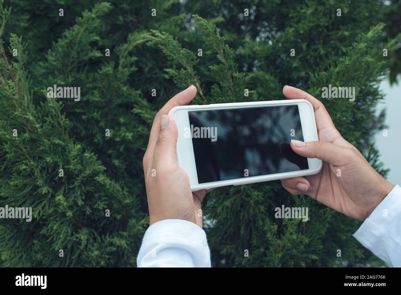 Dos manos sosteniendo gran pantalla teléfono inteligente, trazado de recorte Foto de stock