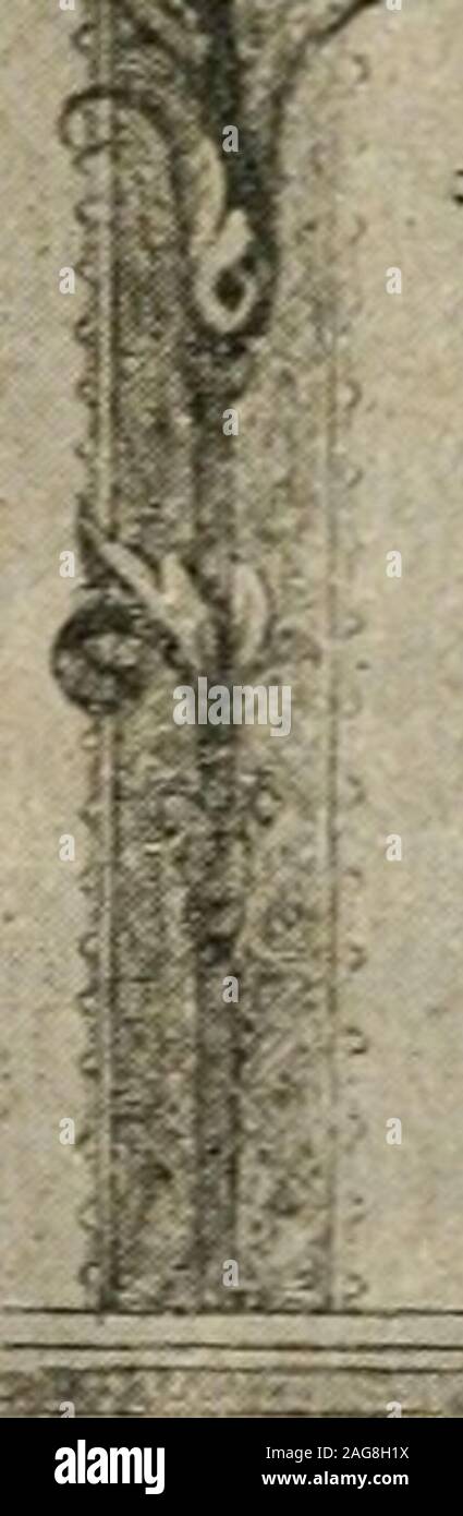 aa bolsagage restrictions