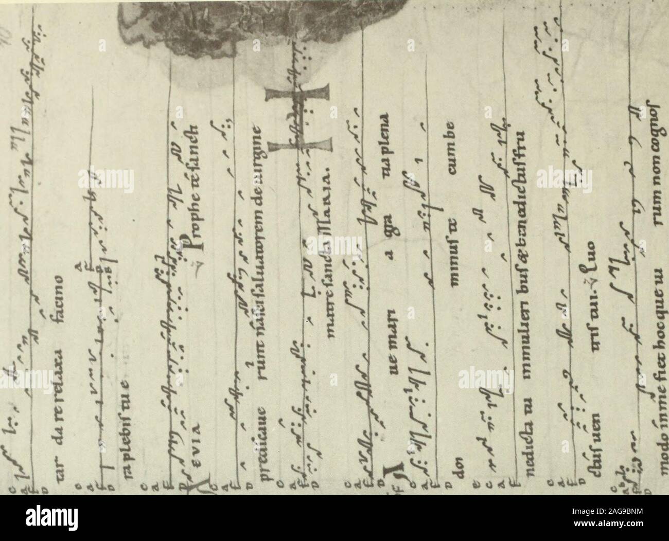 Gallican Fotos E Imagenes De Stock Pagina 6 Alamy