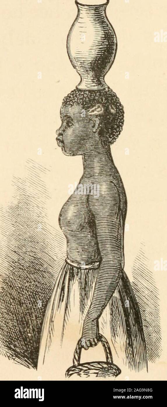 spirit bolsagage info