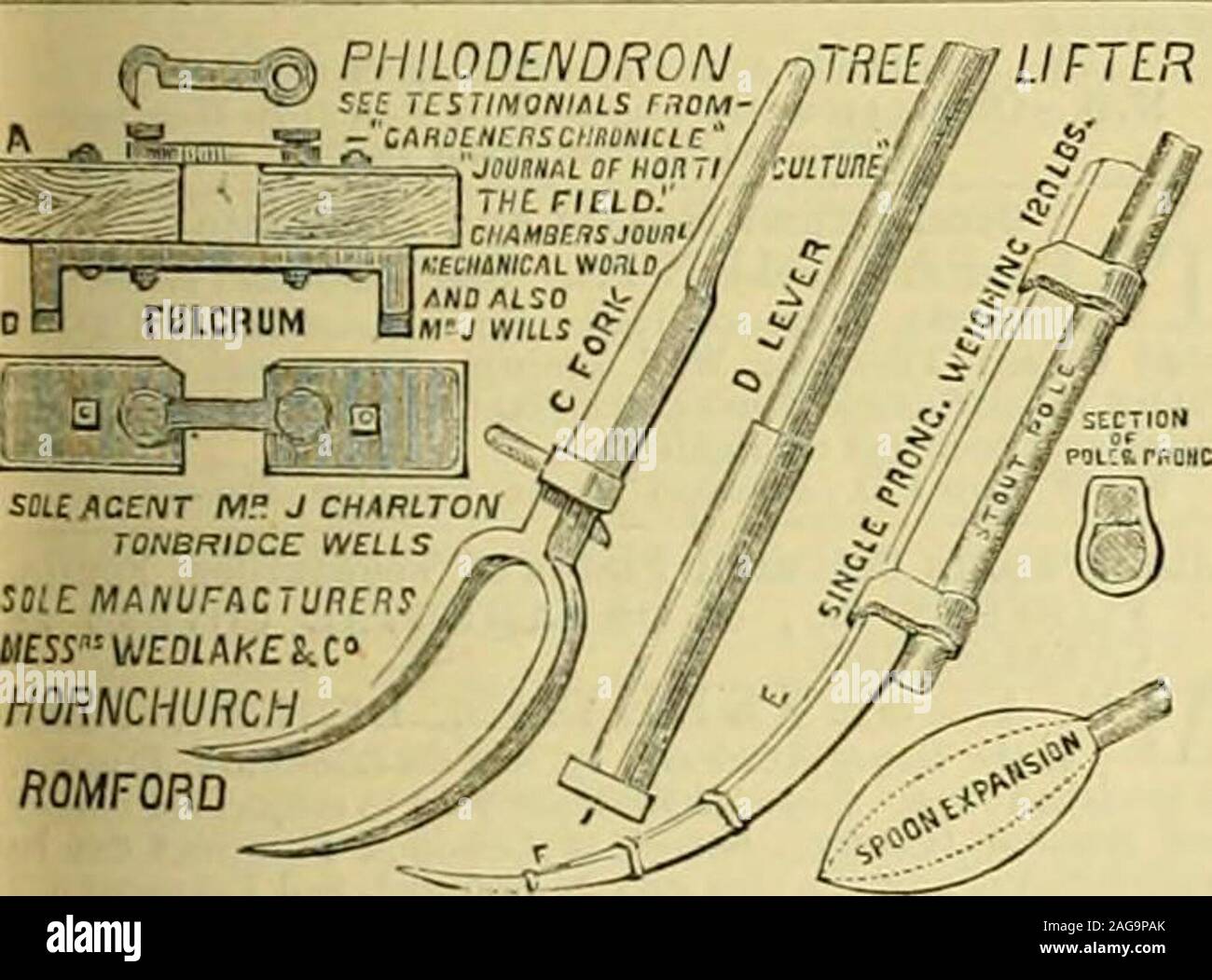 Los Jardineros Cronica Semanalmente Un Diario Ilustrado De Horticultura Y Temas Afines Strong Cableado Adecuadas Para