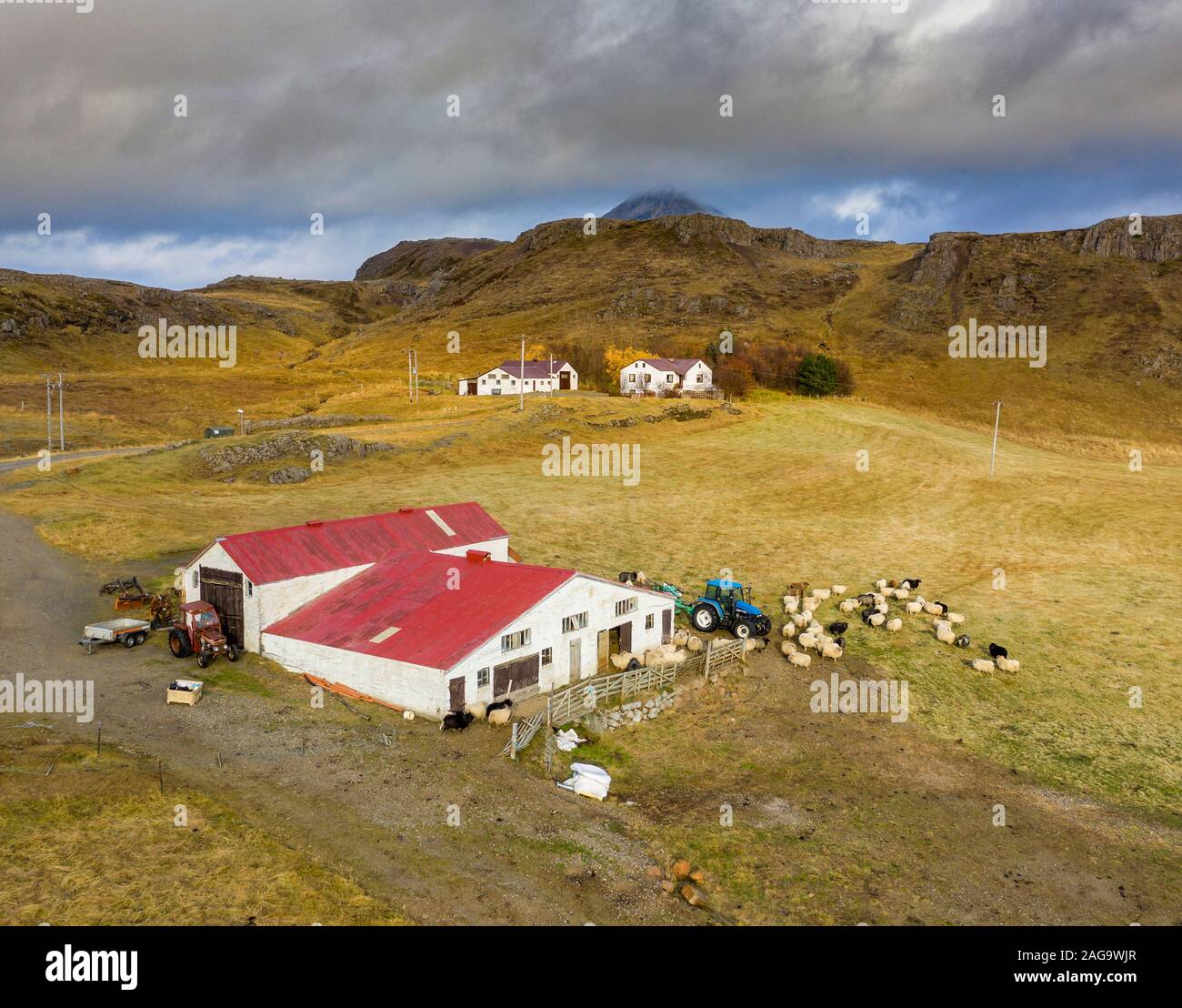 Granja ovejera, valle Nordurardalur Borgarfjordur, oeste de Islandia Foto de stock
