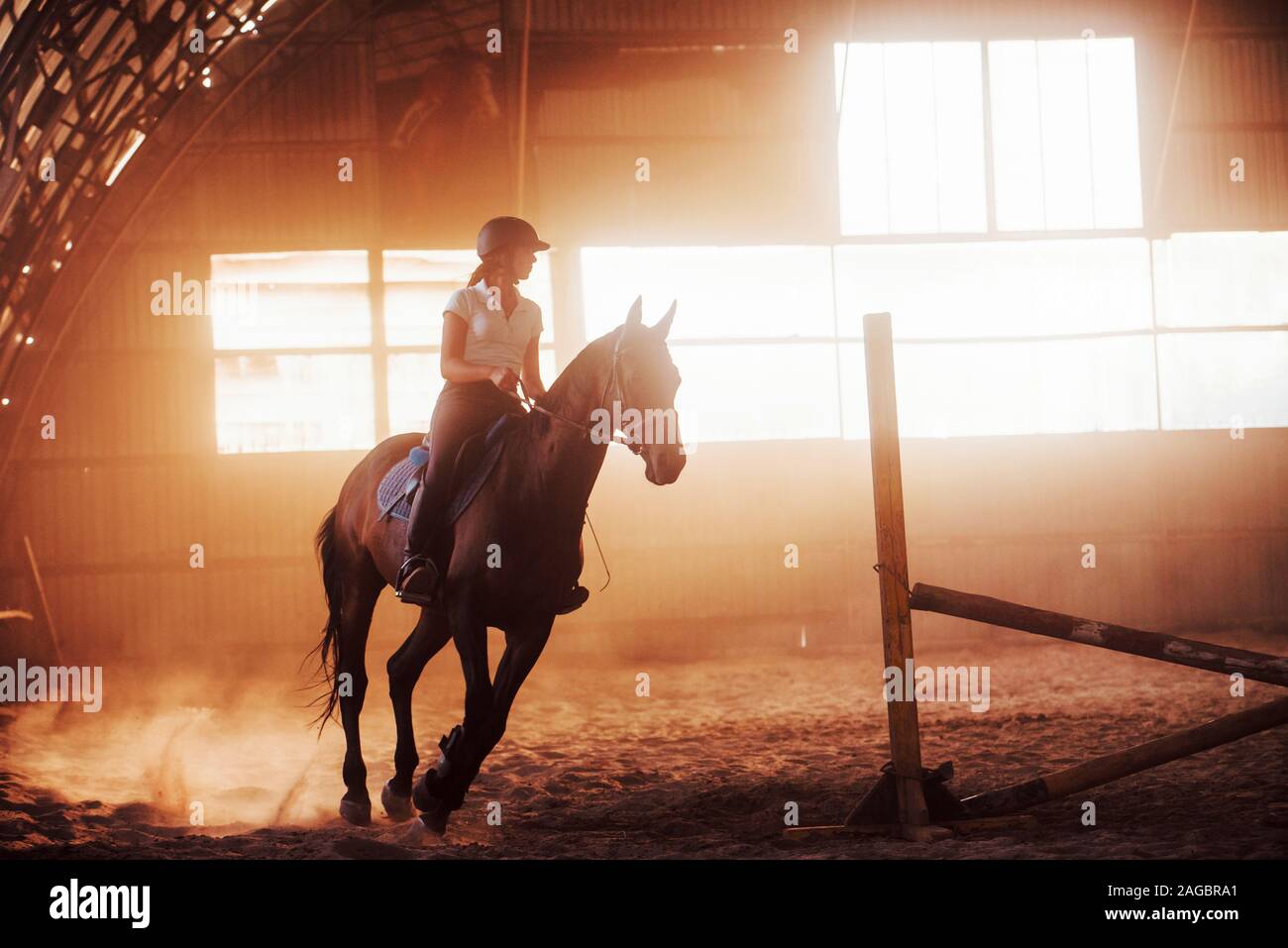Imagen de la majestuosa silueta de caballo con jinete en sunset de fondo. La niña jockey sobre el lomo de un corcel cabalga en un hangar en una granja Foto de stock