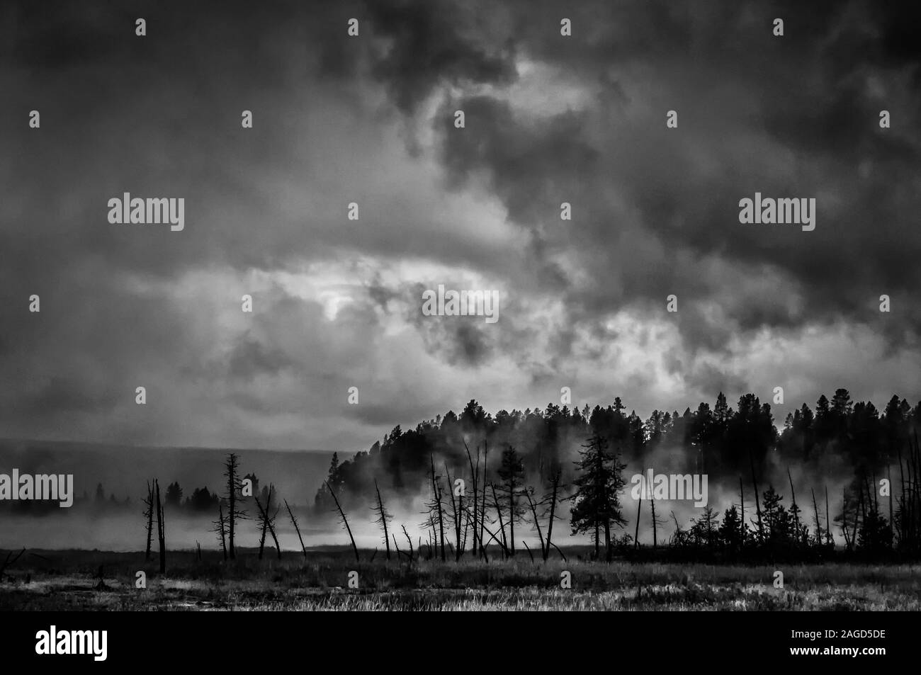 Captura en escala de grises de un campo ahumado bajo la oscuridad sombría cielo perfecto para un fondo aterrador y espeluznante Foto de stock