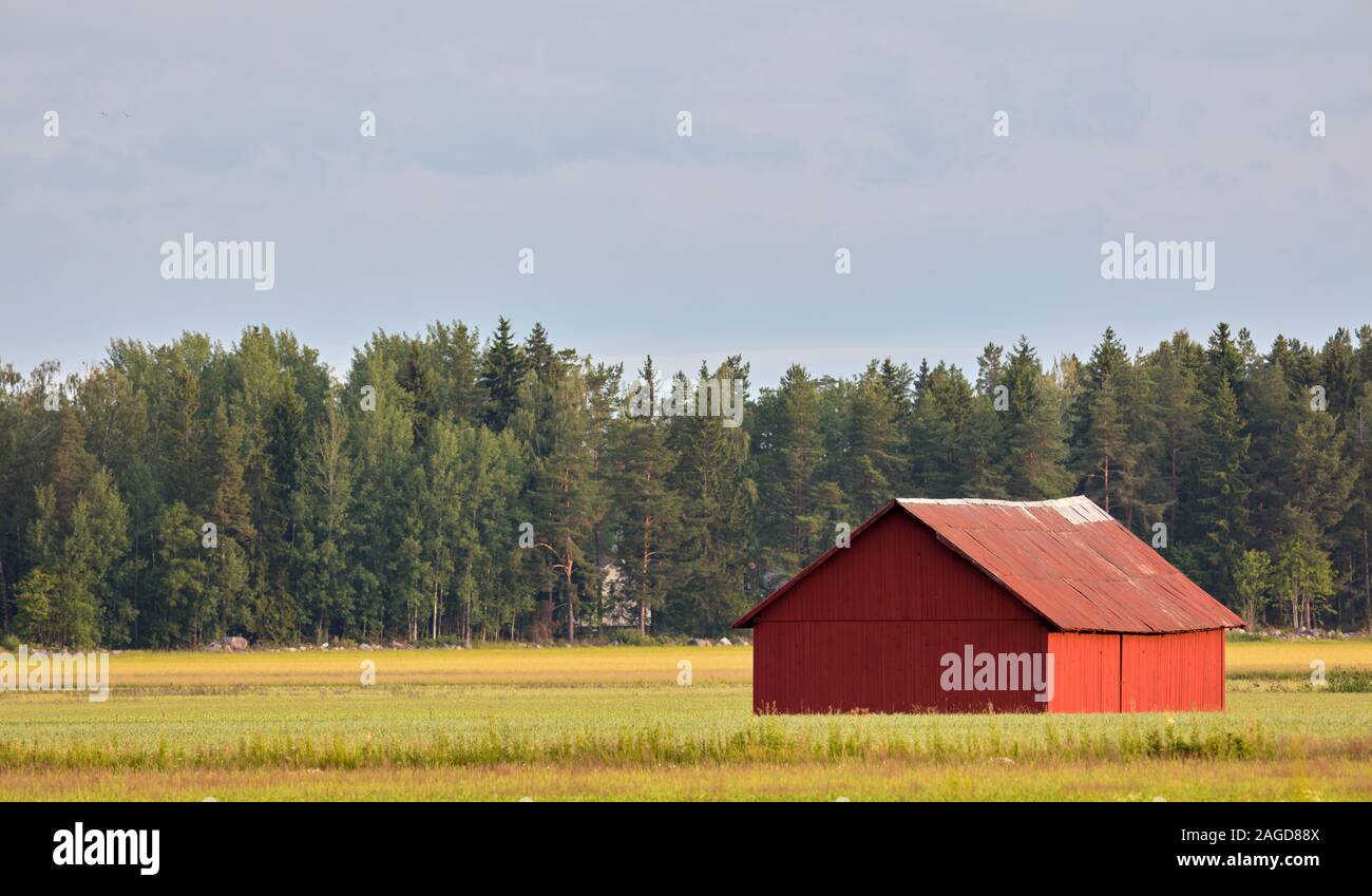 Antiguo granero de madera cayendo en Roslagen, Suecia Foto de stock