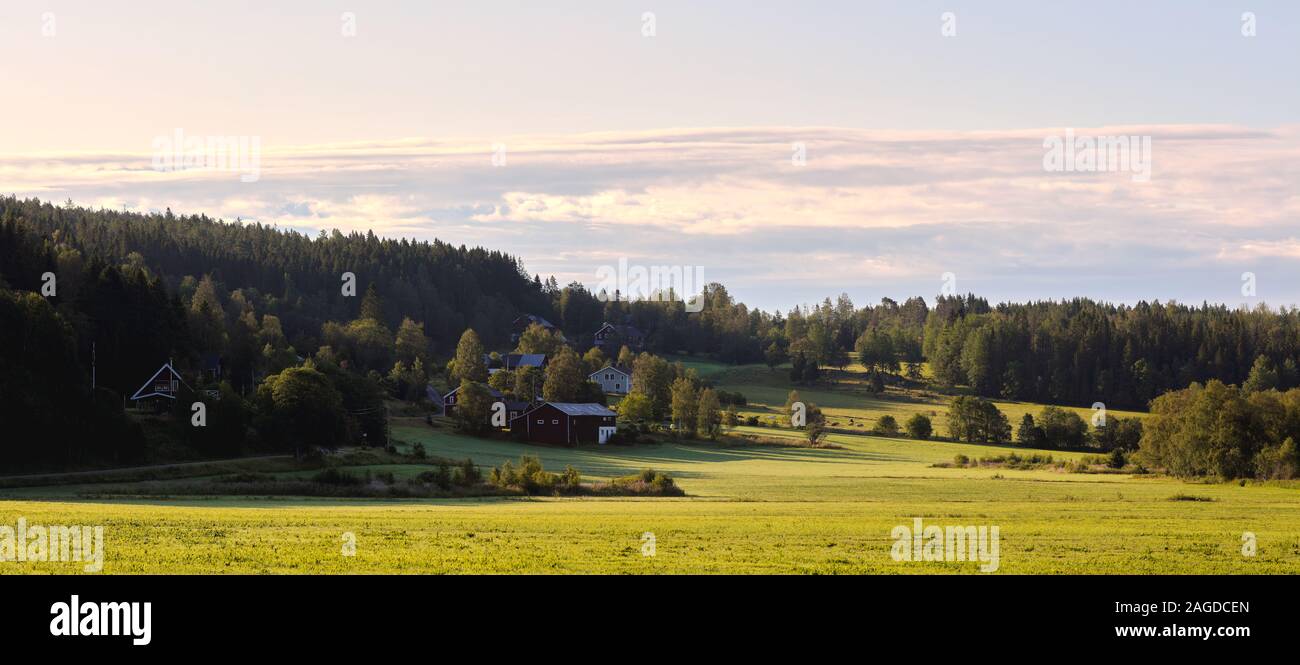 Casas en un paisaje de verano en la Costa Alta en Höga Kusten, Suecia Foto de stock