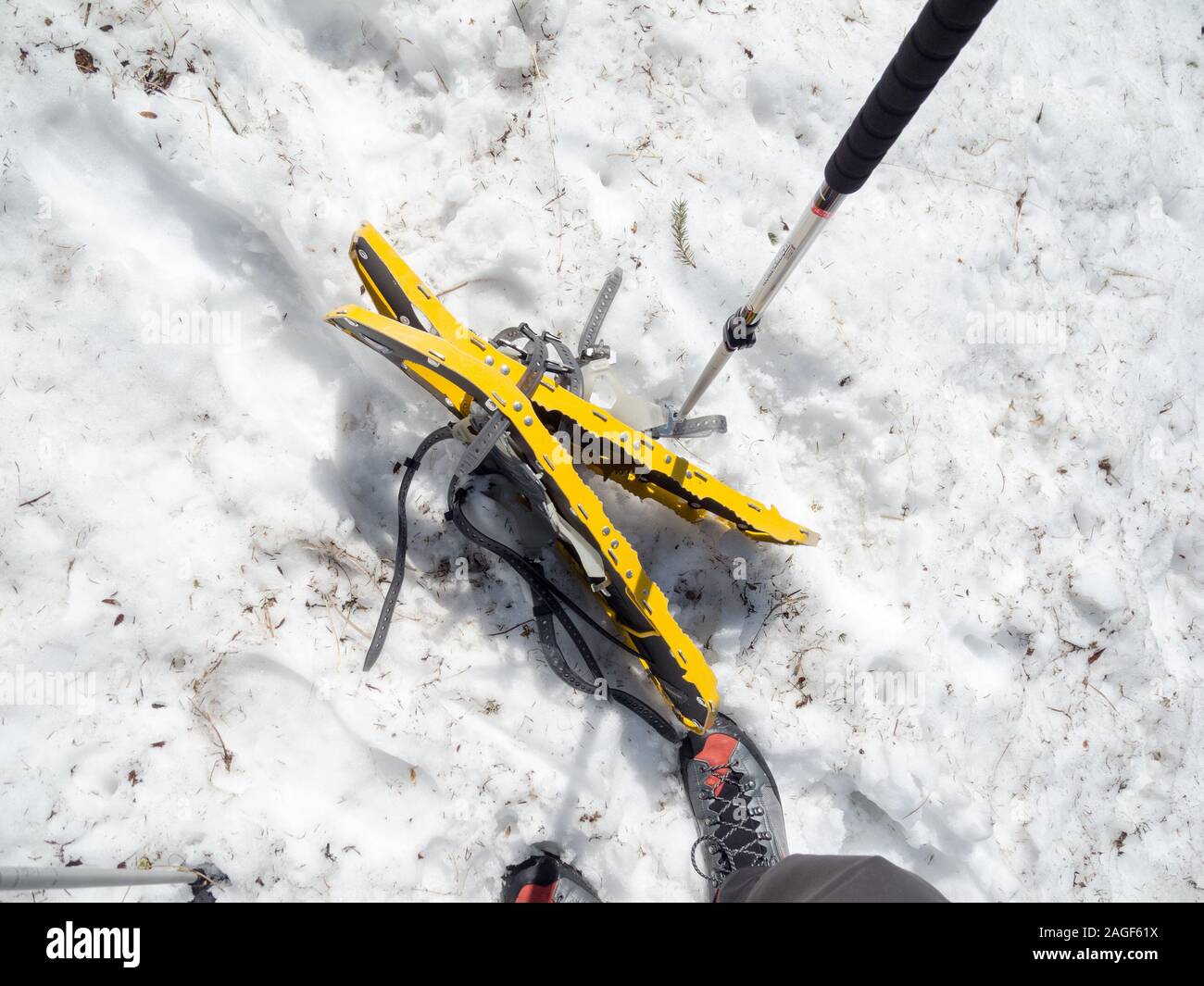 Botas de nieve o raquetas de nieve con espigas para el senderismo en el  suelo, Parque Natural Gantrisch, cantón de Berna, Oberland bernés, Alpes  suizos, Suiza Fotografía de stock - Alamy