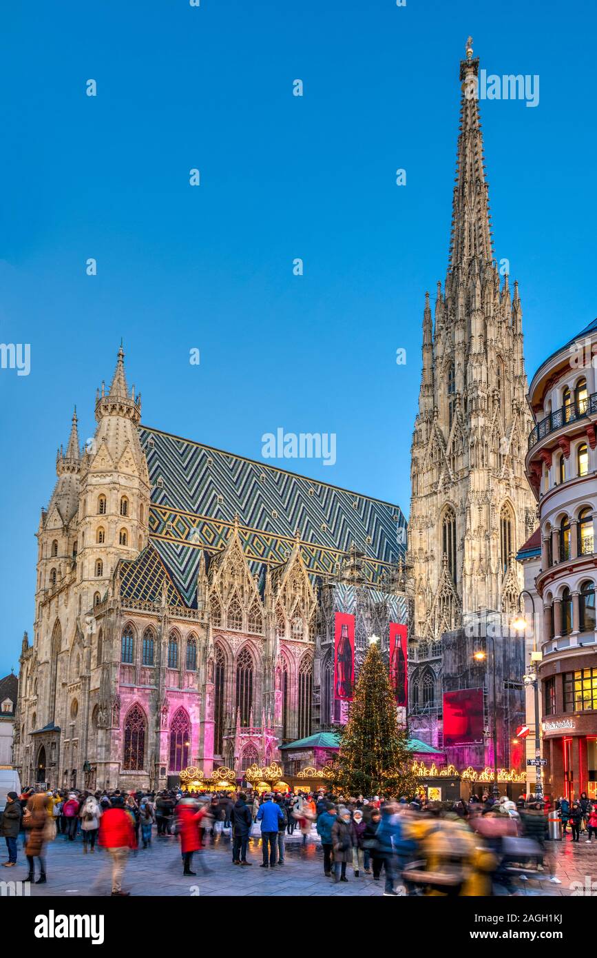 La Catedral de San Esteban o Stephansdom en Navidad, Viena, Austria Foto de stock
