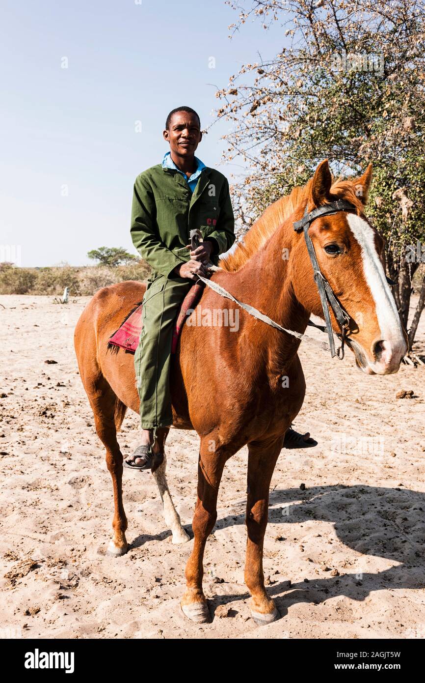 El hombre a caballo en la aldea local Zere, cerca del desierto de Kalahari Rakops, Botswana, África Foto de stock