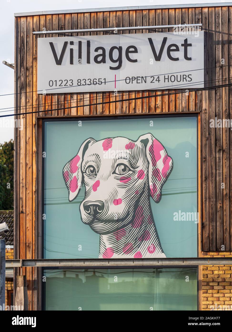 La práctica moderna de Vet - Village Vet Whittlesford hospital veterinario en Whittlesford estación cerca de Cambridge, Reino Unido. Es una pequeña aldea de Vet Chang Foto de stock