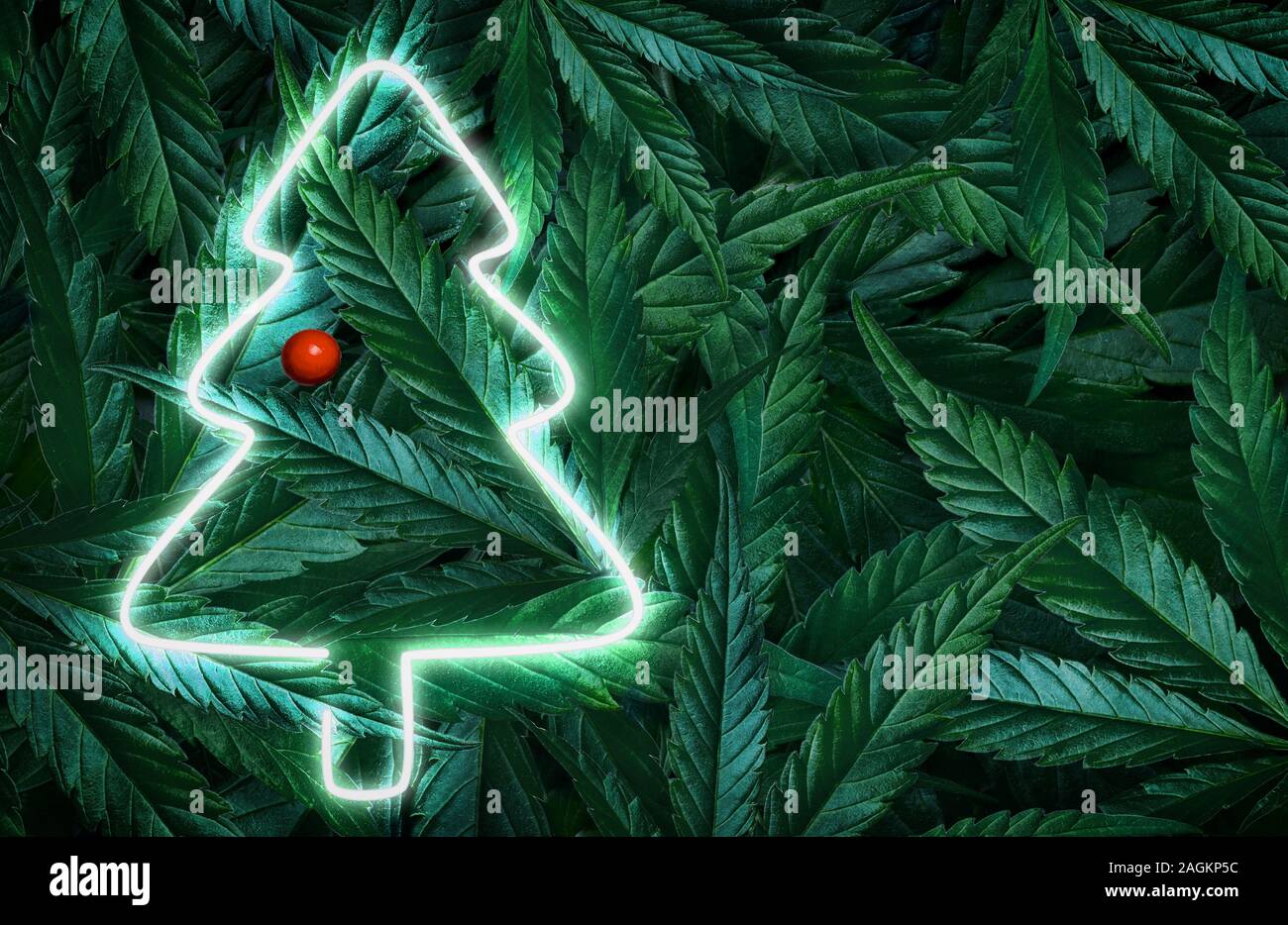 Fluorescente creativo Christmas background boceto de hojas de cáñamo,  marihuana y el cartel de neón del árbol de Navidad. Sentar plana Fotografía  de stock - Alamy