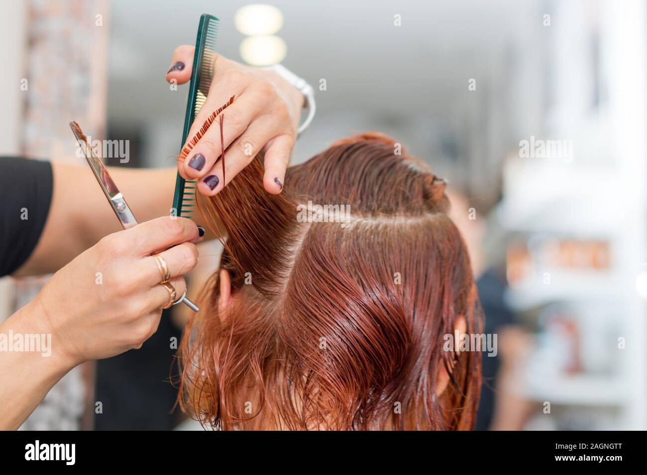 Mujer consiguiendo un nuevo corte de pelo. Estilista femenino corte de  cabello con tijeras de peluquería. Peluquería llevar en la mano entre los  dedos mechón de pelo, peine Fotografía de stock -