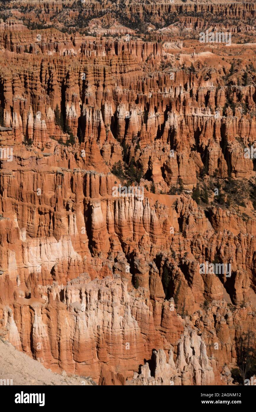 Bryce Canyon National Park, una extensa reserva en el sur de Utah, es conocido por su color carmesí hoodoos, que son formaciones de roca con forma de aguja. Foto de stock