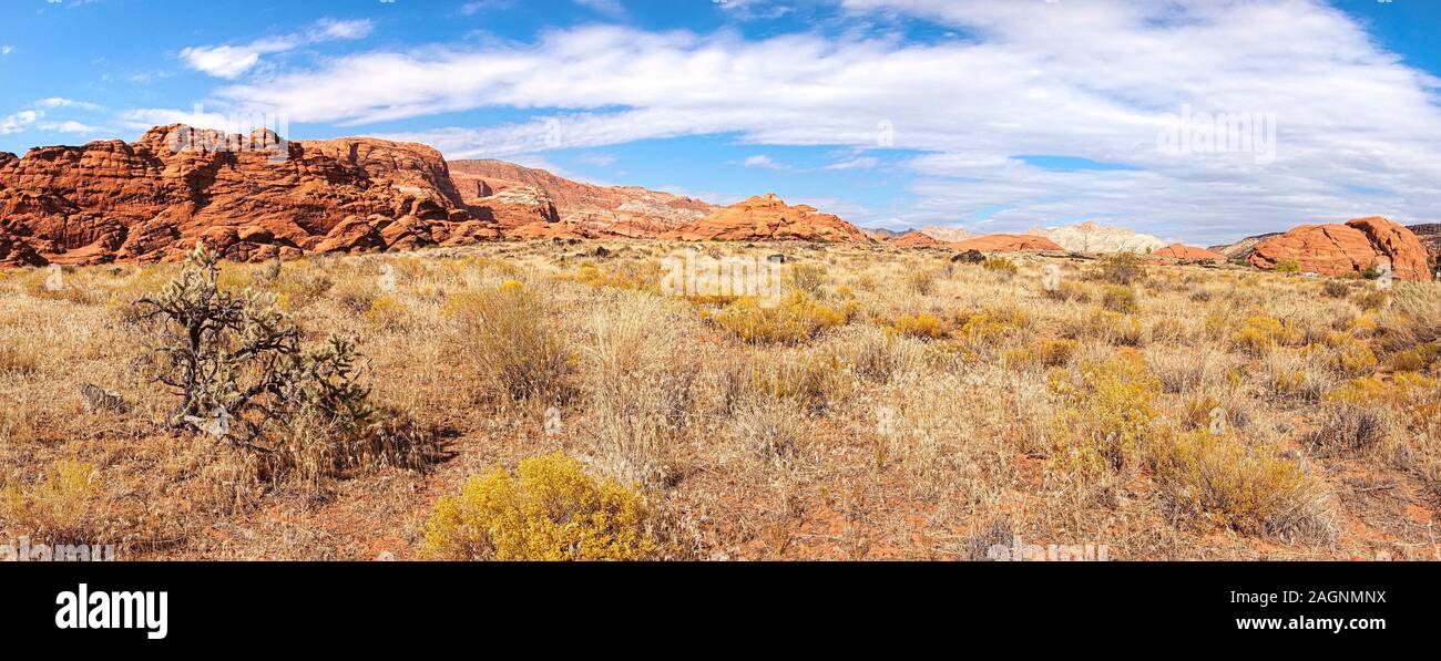 Snow Canyon State Park es un parque estatal de Utah, EE.UU., con un cañón tallado en la piedra arenisca de Navajo rojo y blanco en las montañas rojizas. Foto de stock