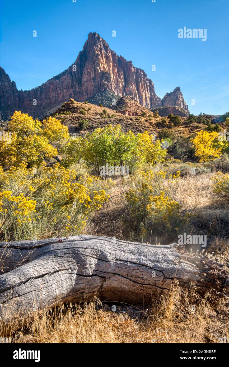 El Parque Nacional Zion está a suroeste de Utah Nature Preserve distinguido por el Cañón Zion's escarpados acantilados rojos. Foto de stock