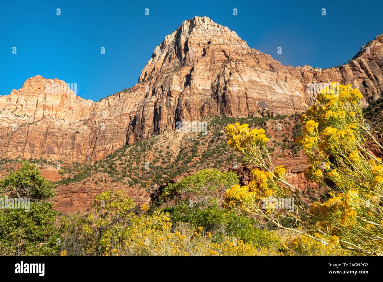 El Parque Nacional Zion está a suroeste de Utah Nature Preserve distinguido por el Cañón Zion's escarpados acantilados rojos. Foto de stock