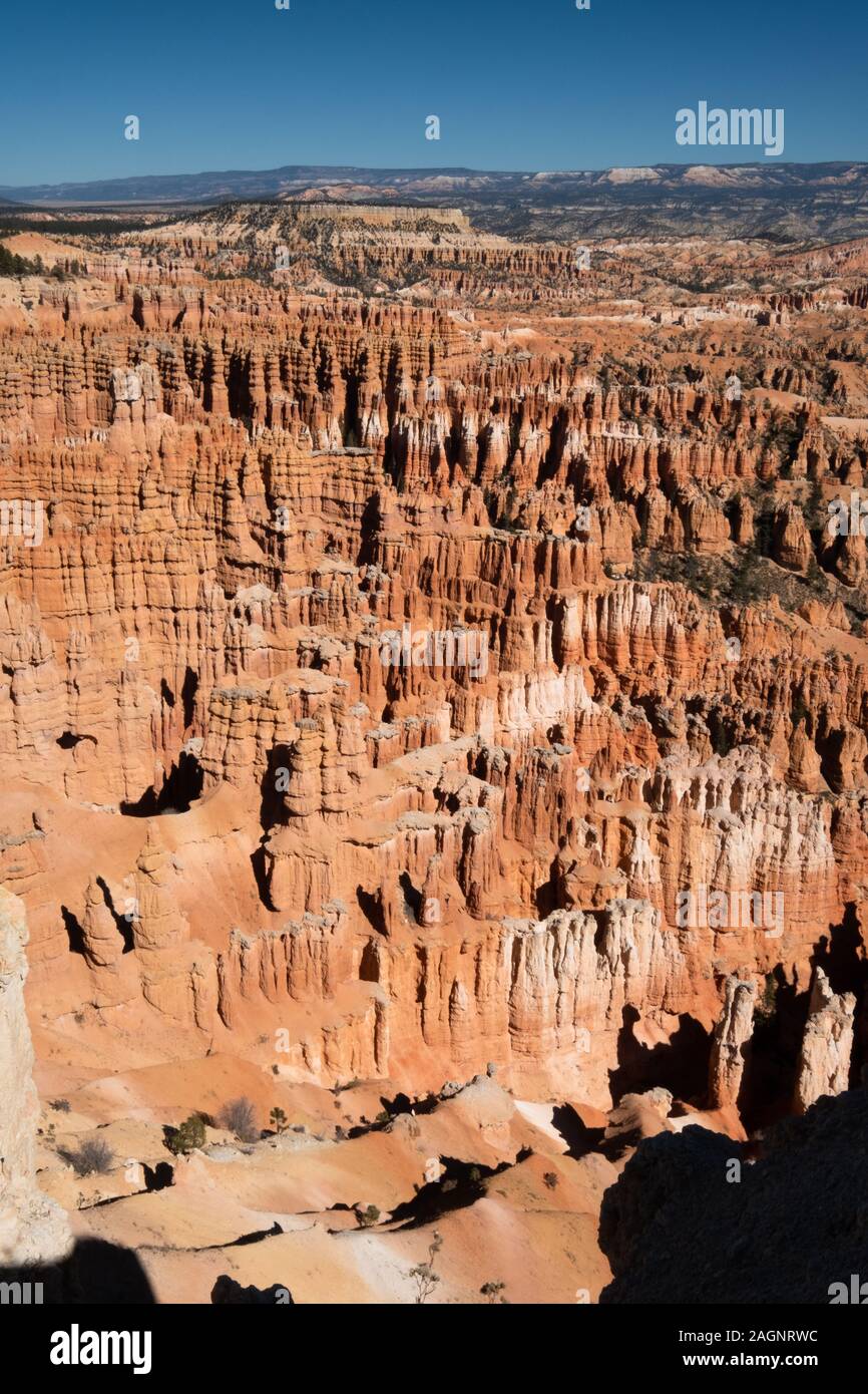 Bryce Canyon National Park, una extensa reserva en el sur de Utah, es conocido por su color carmesí hoodoos, que son formaciones de roca con forma de aguja. Foto de stock