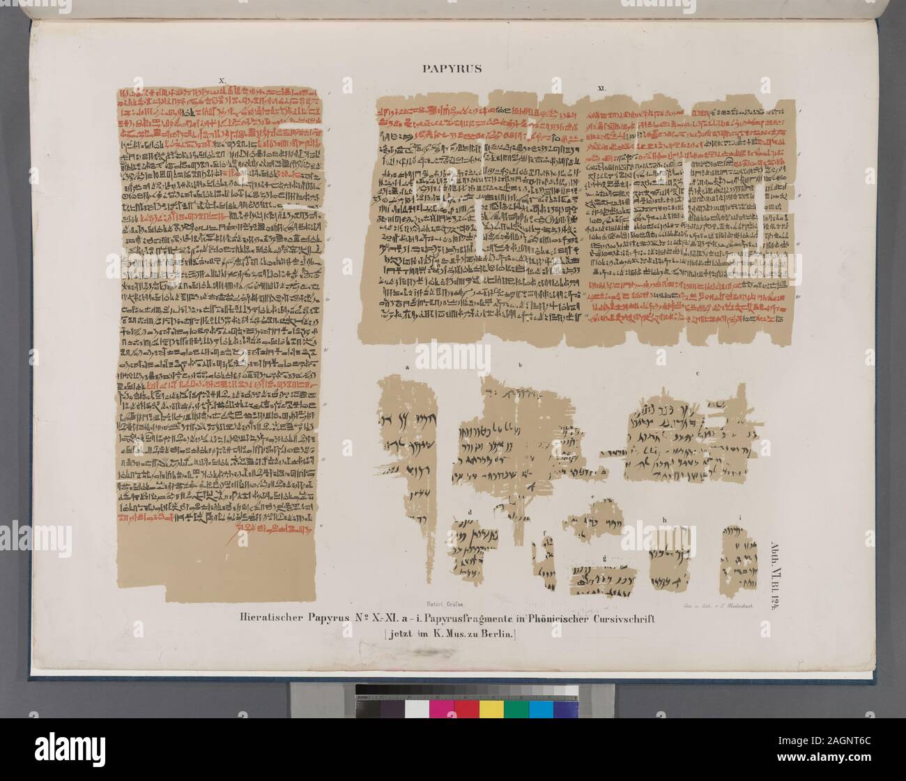 El papiro. Hieratischer papiro. Nº X. XI. En Phoenicischer