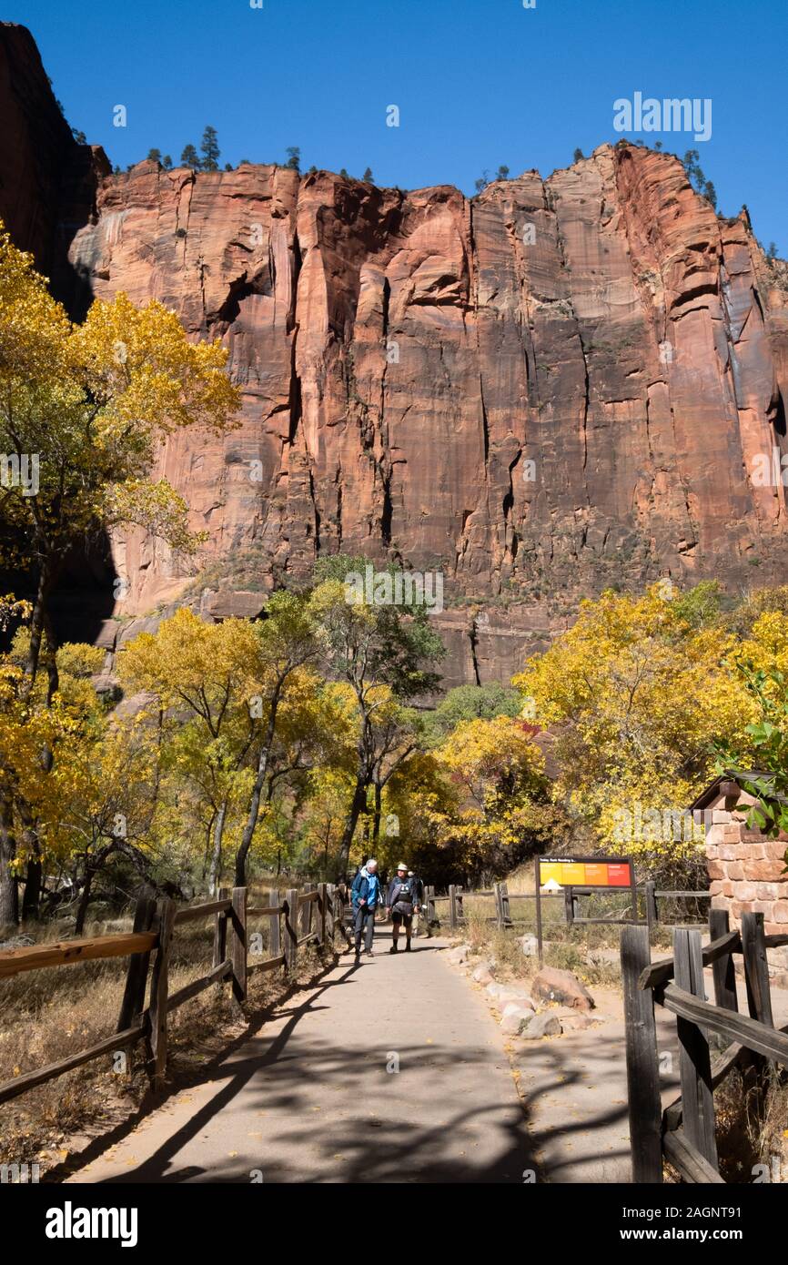 El Parque Nacional Zion está a suroeste de Utah Nature Preserve distinguido por el Cañón Zion's escarpados acantilados rojos. Foto de stock