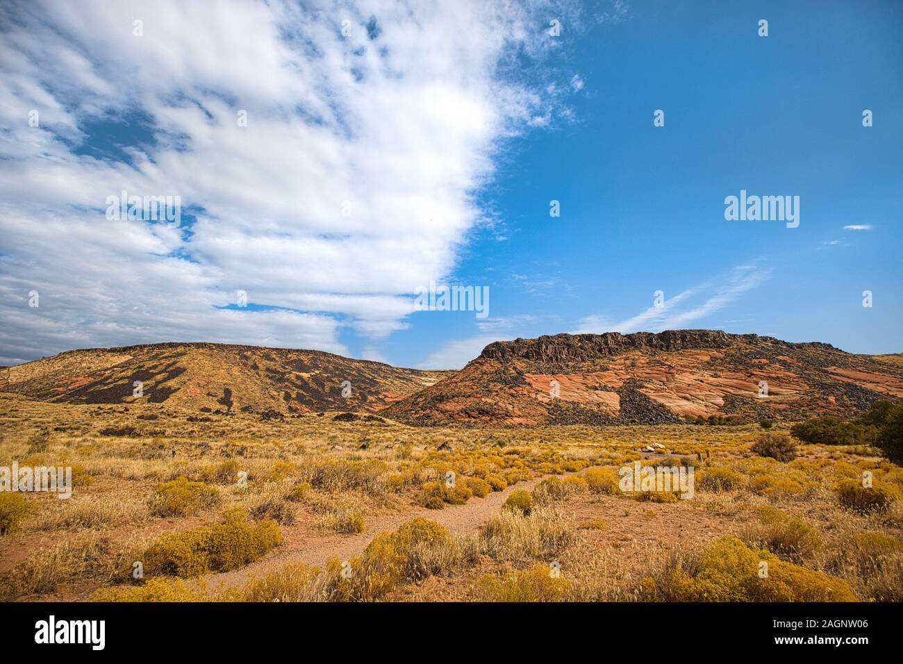 Snow Canyon State Park es un parque estatal de Utah, EE.UU., con un cañón tallado en la piedra arenisca de Navajo rojo y blanco en las montañas rojizas. Foto de stock