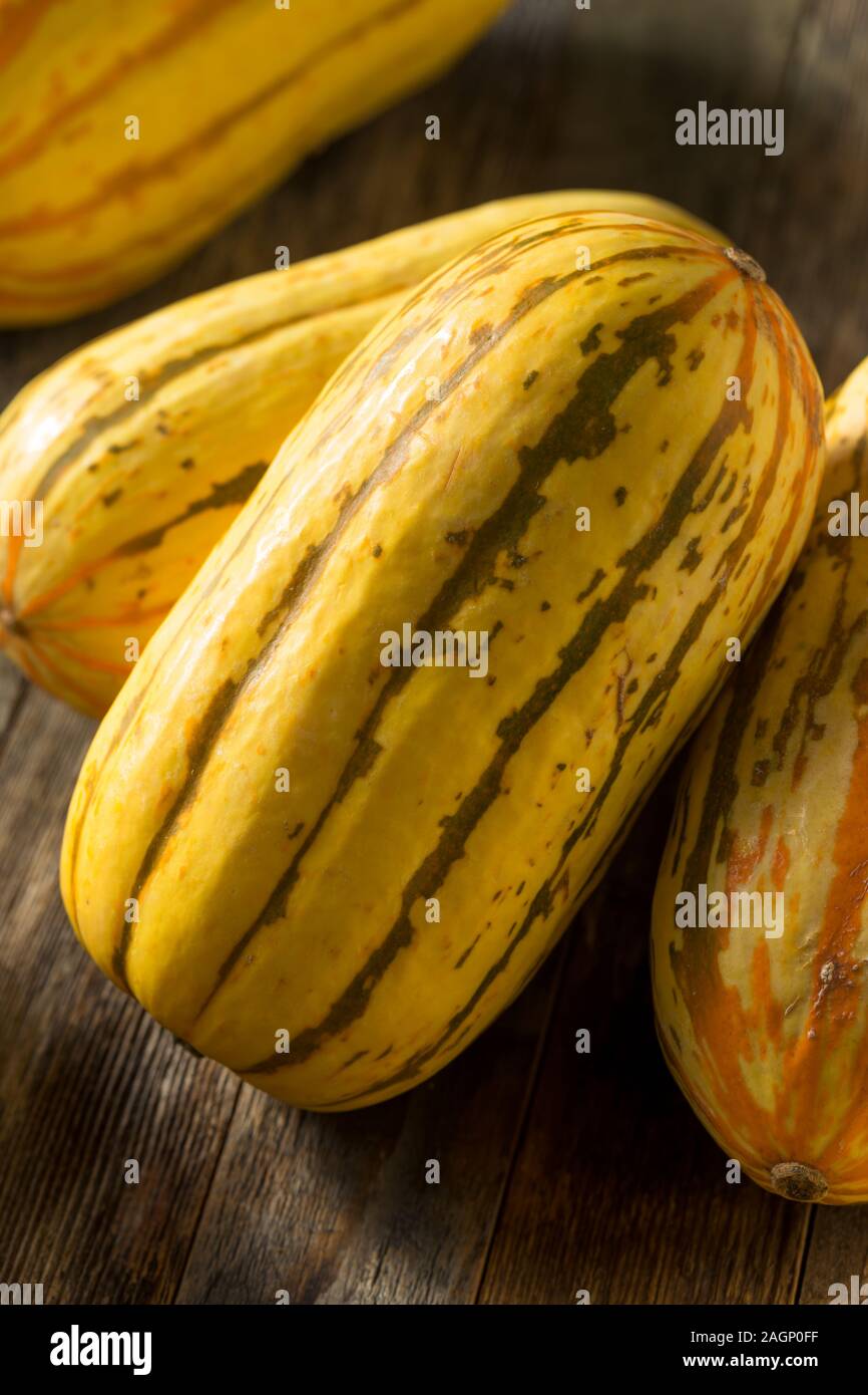 Materias orgánicas amarillo Delicata Squash, listo para cocinar Foto de stock