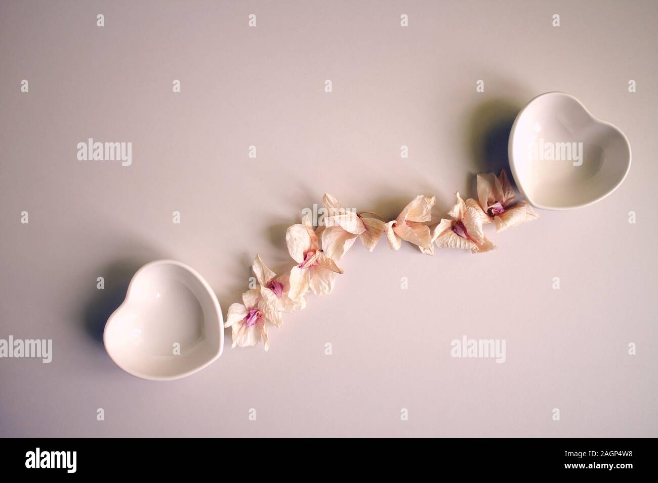 Dos cuencos de cerámica en forma de corazón, Phalaenopsis pétalos secos, de forma abstracta organizan seco orquídeas para un diseño romántico festivo en luz rosa Foto de stock