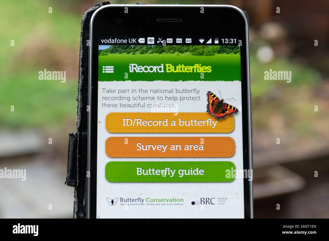 IRecord mariposas app en un teléfono móvil, para la identificación y el registro de las mariposas (fauna), REINO UNIDO Foto de stock