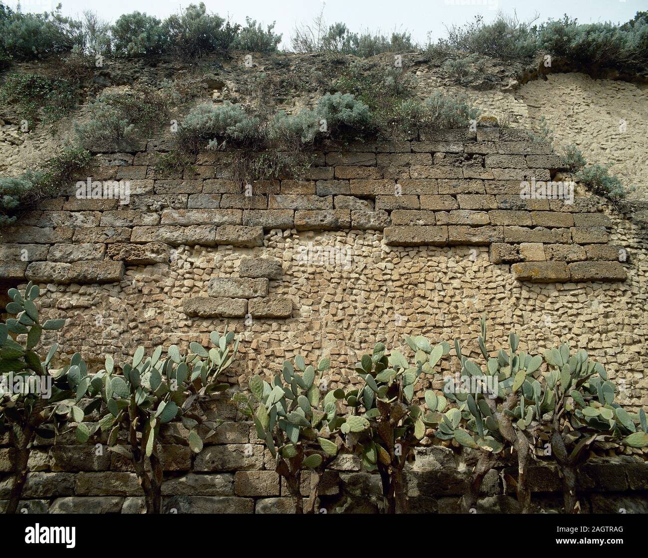 La Magna Grecia. Italia, Cumae. Colonia griega fundada por colonos de