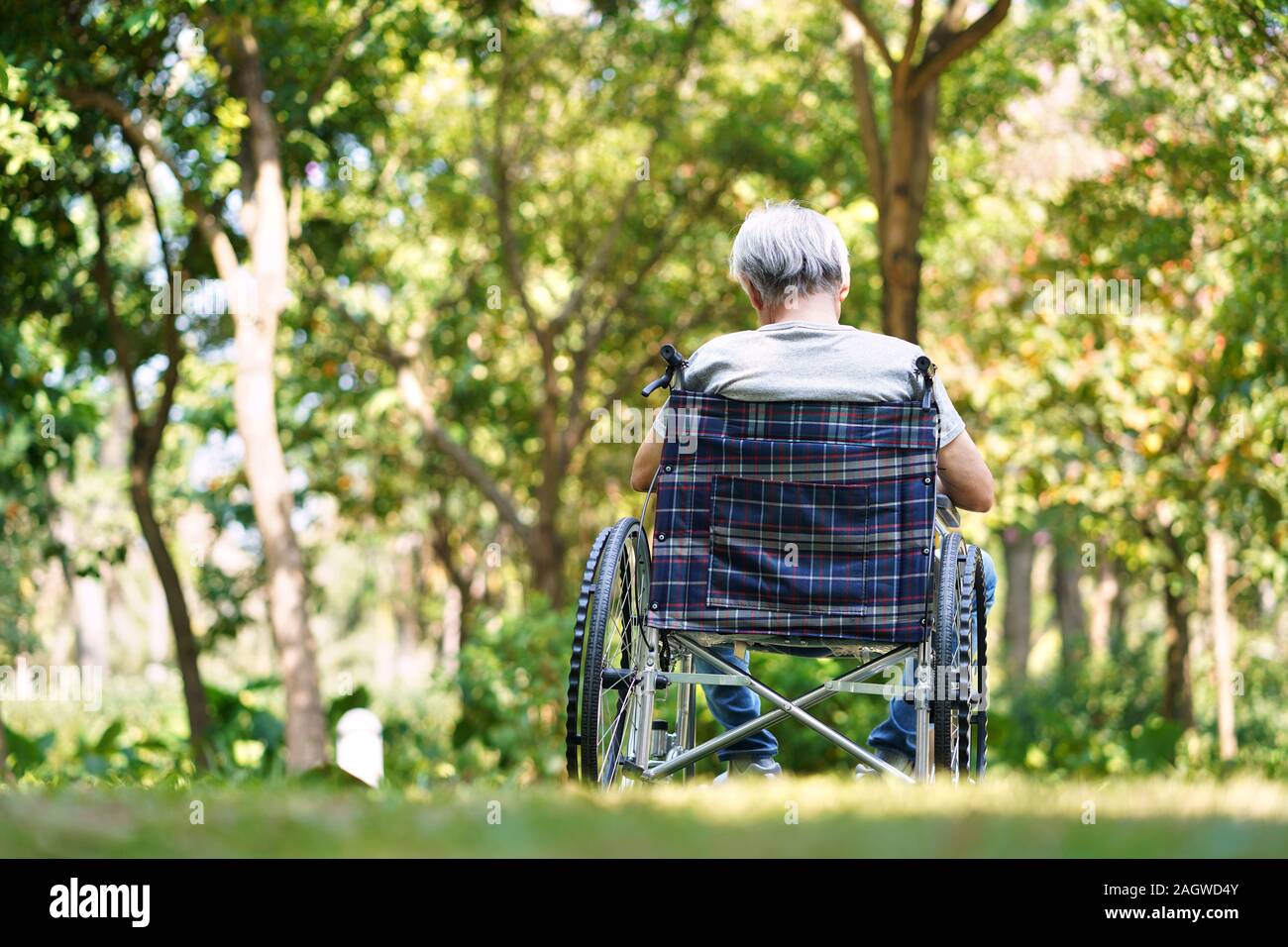 Vista trasera de asian anciano sentado afuera en silla de ruedas, con la cabeza hacia abajo Foto de stock