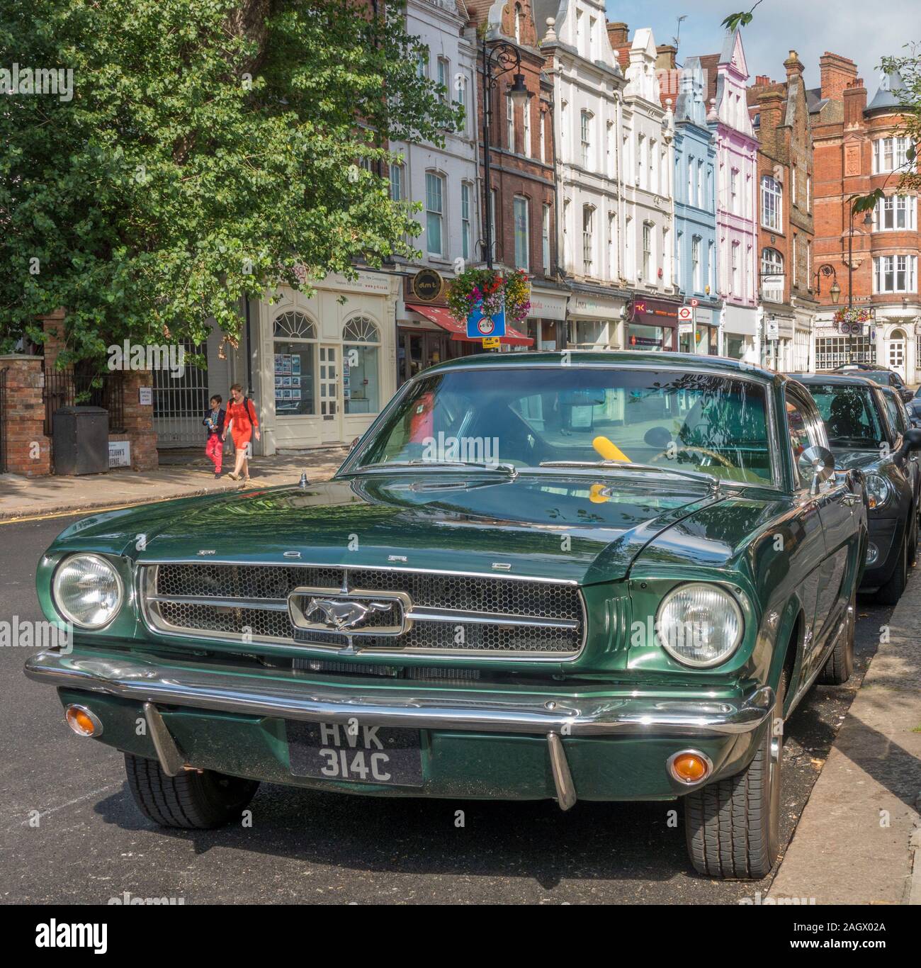 My Image 27