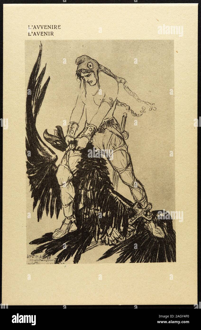 spirit bolsagage info