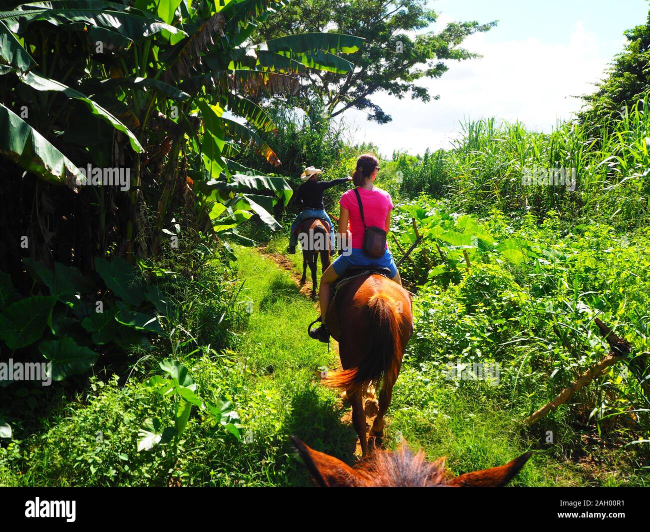 Chica va a Caballo Foto de stock