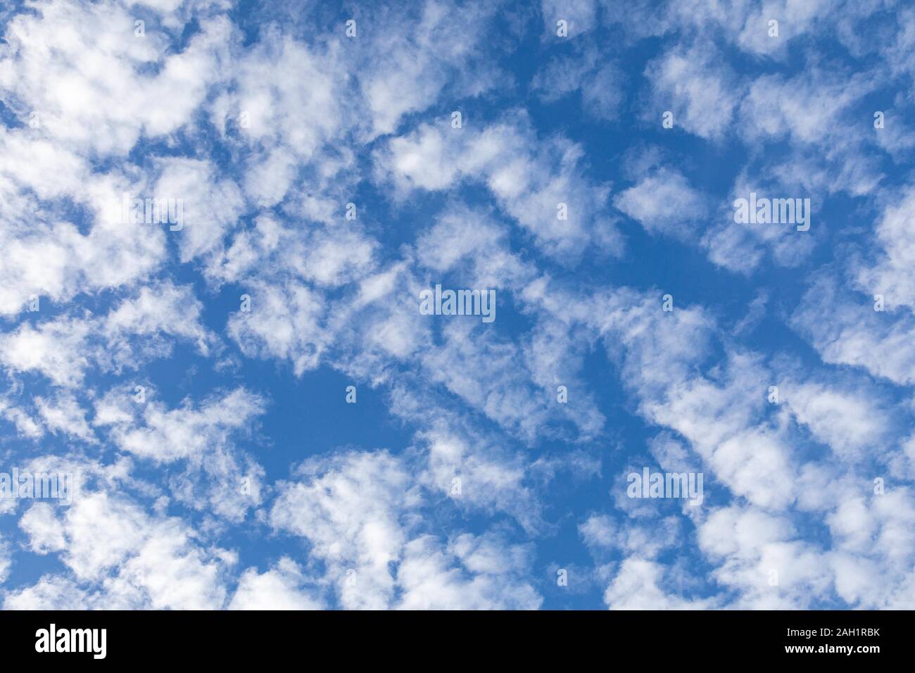 Mirando hacia arriba para ver las blancas nubes hinchadas en un cielo azul Foto de stock