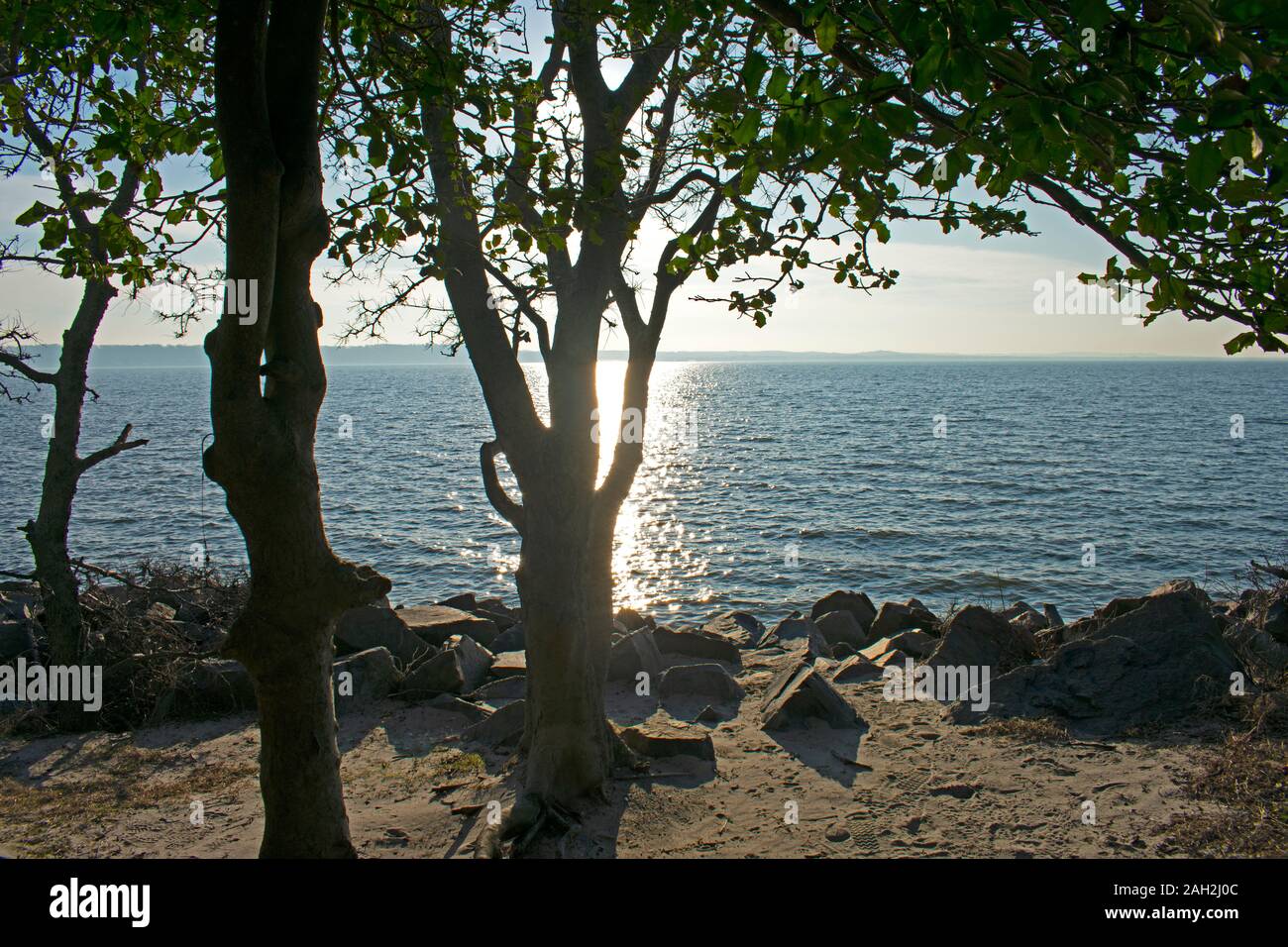 Vista de la Bahía de Sandy Hook de North End de Sandy Hook, Highlands, Middletown, Nueva Jersey -11 Foto de stock