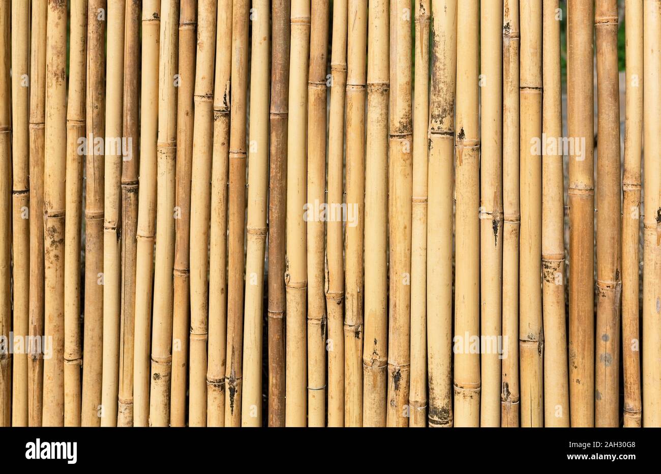 Suelto nacimiento Idealmente Decoración de bambú fotografías e imágenes de alta resolución - Alamy