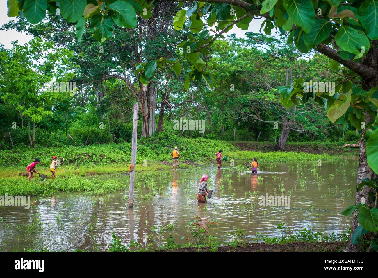 Laongam, Laos, Green Earth Center (GEC) Foto de stock