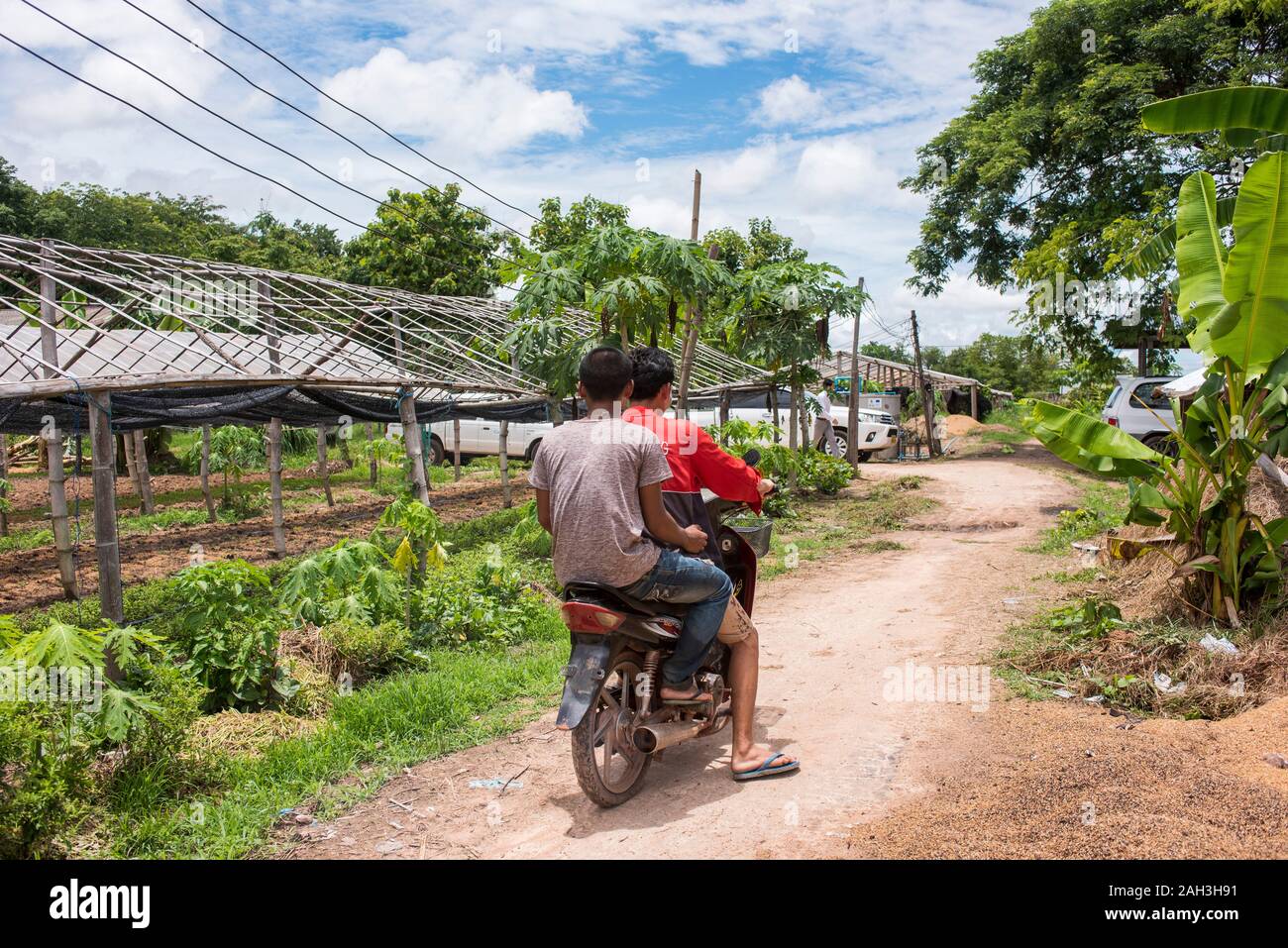 Vientiane, República Democrática Popular Lao, aldea cooperativa Foto de stock