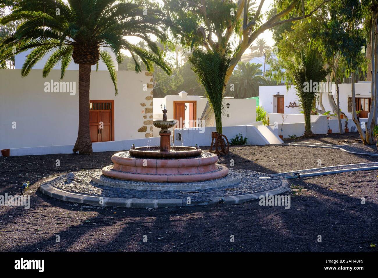 España, Islas Canarias, Haria, fuente y palmeras en el village park Foto de stock